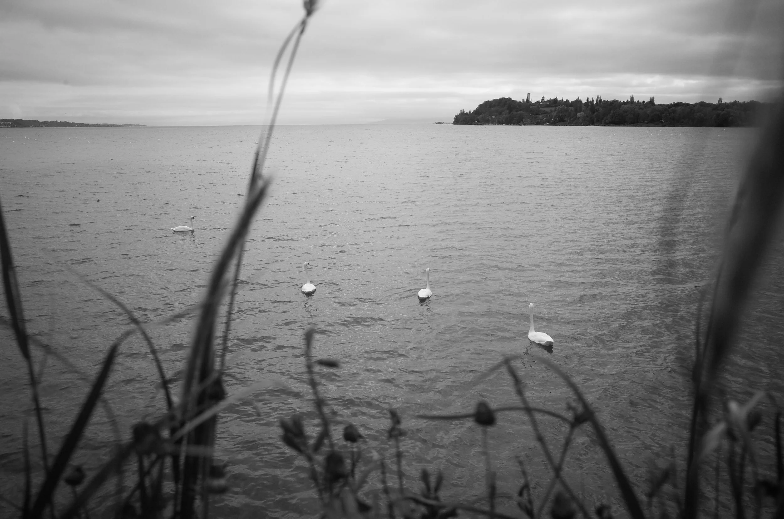 Andreas Ott GR143785.JPG