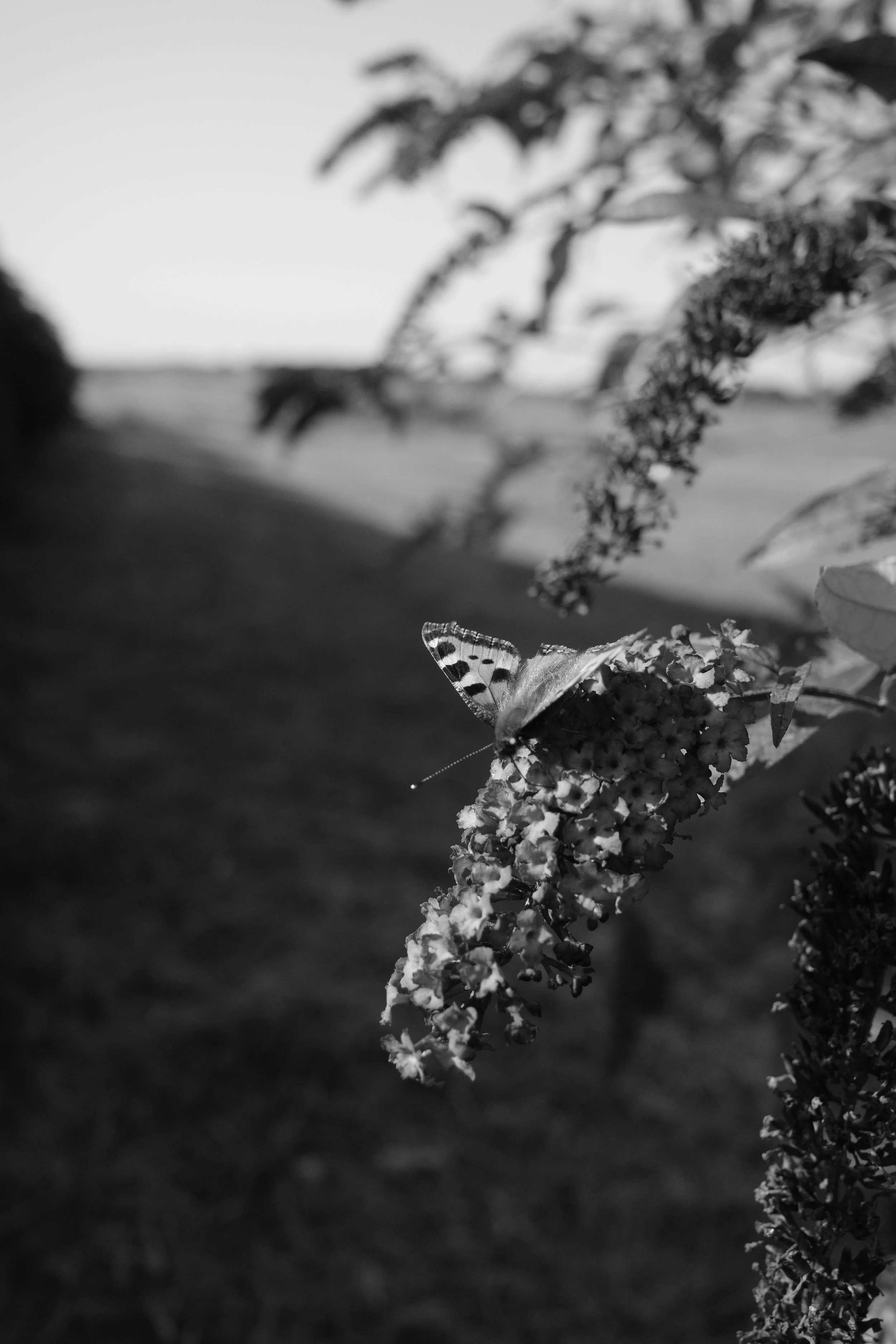 Andreas Ott R0002307.JPG