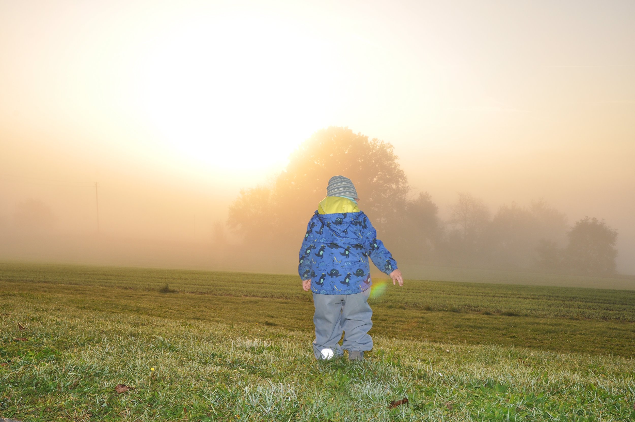 Andreas Ott DSC_8925.jpg