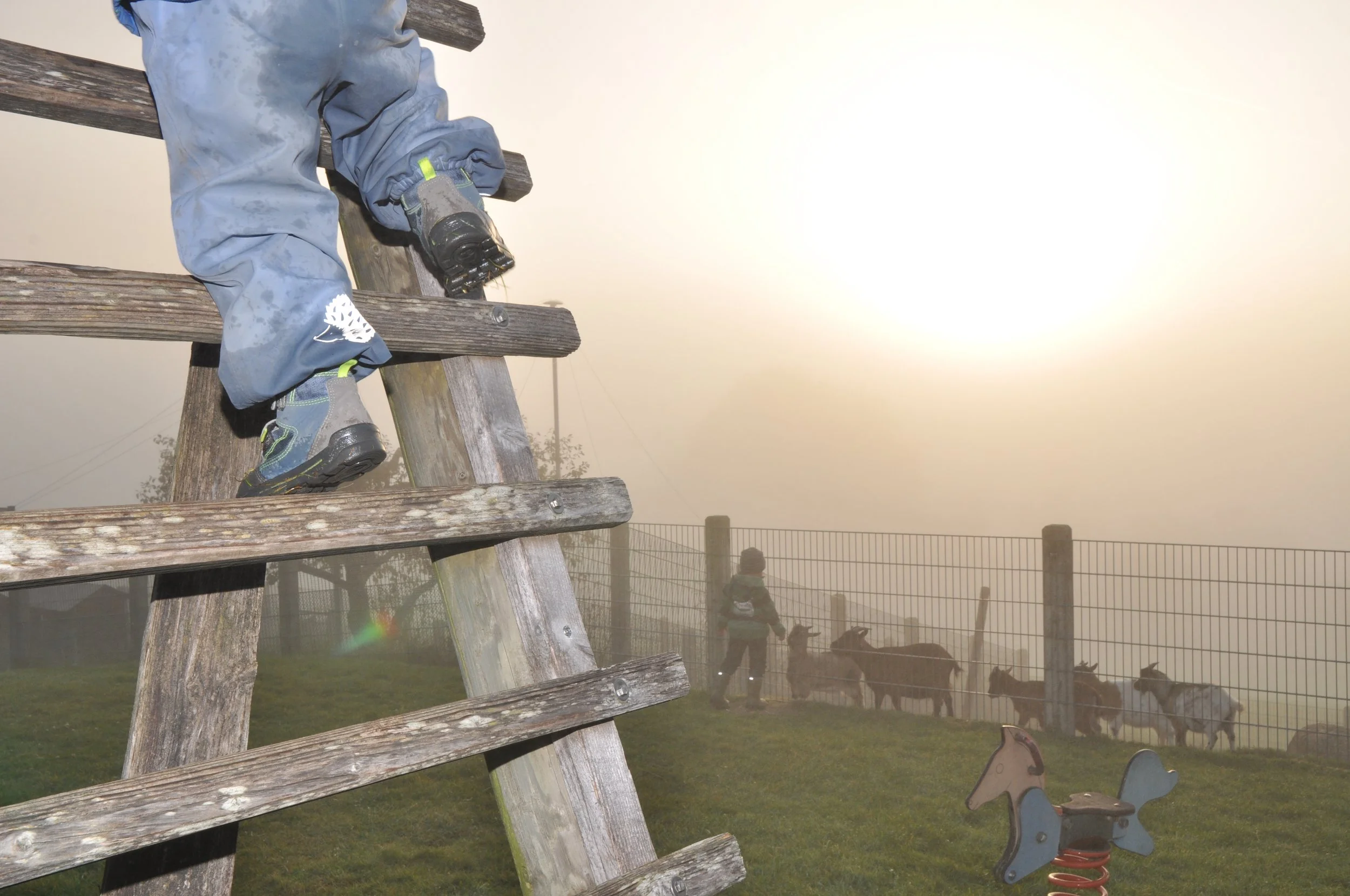 Andreas Ott DSC_8980.JPG