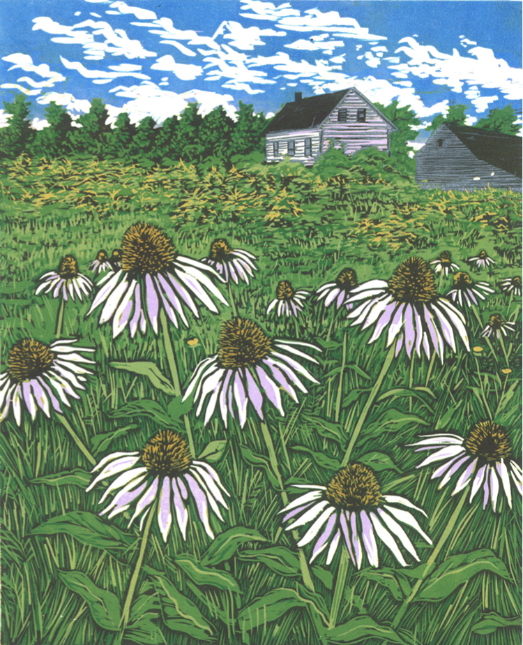 Summer Meadow.png