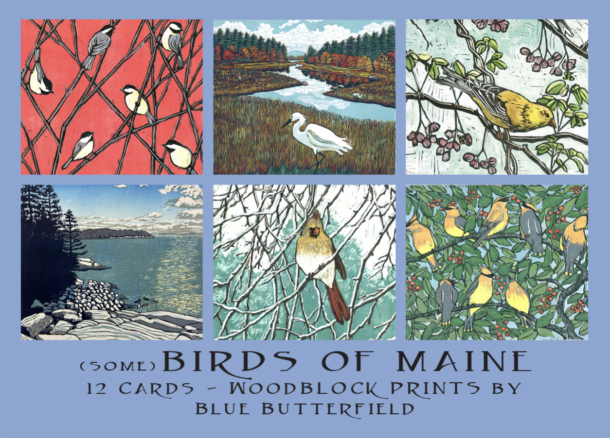 Birds of Maine.png