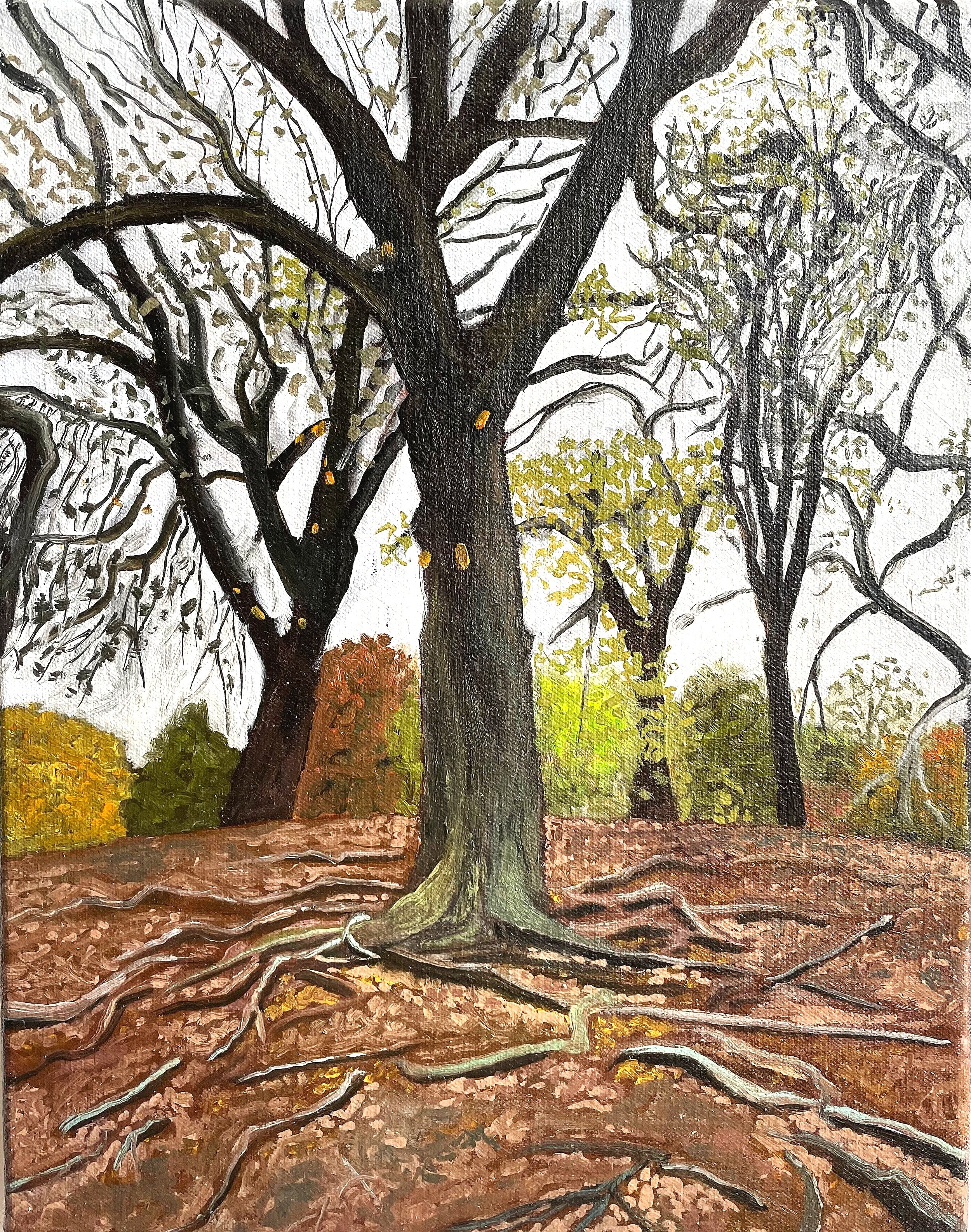   Tree with Roots in Autumn,  Oil on Canvas, 14” x 11”, 2022 