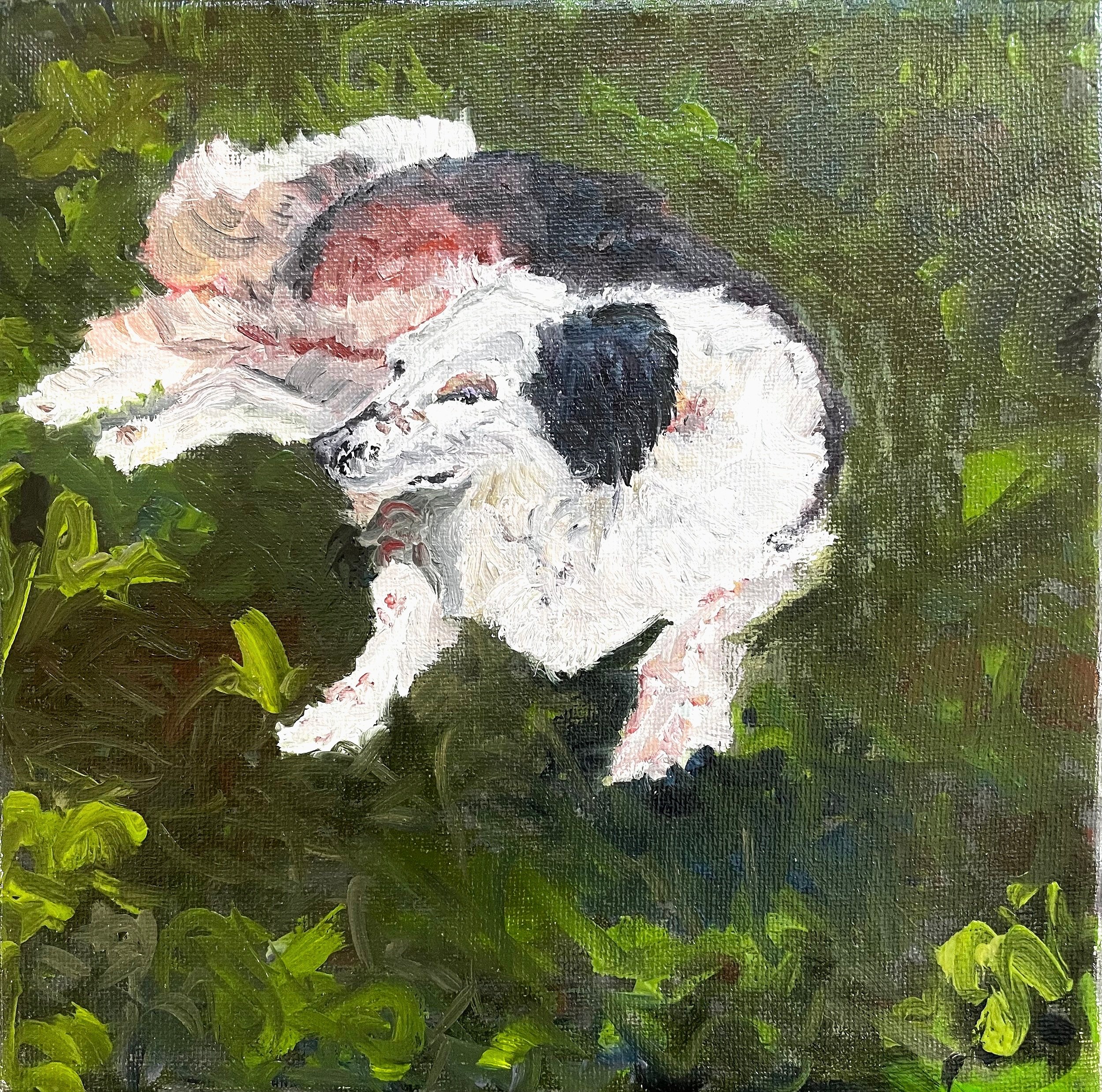   Orli,  Oil on Canvas, 8” x 8”, 2022 