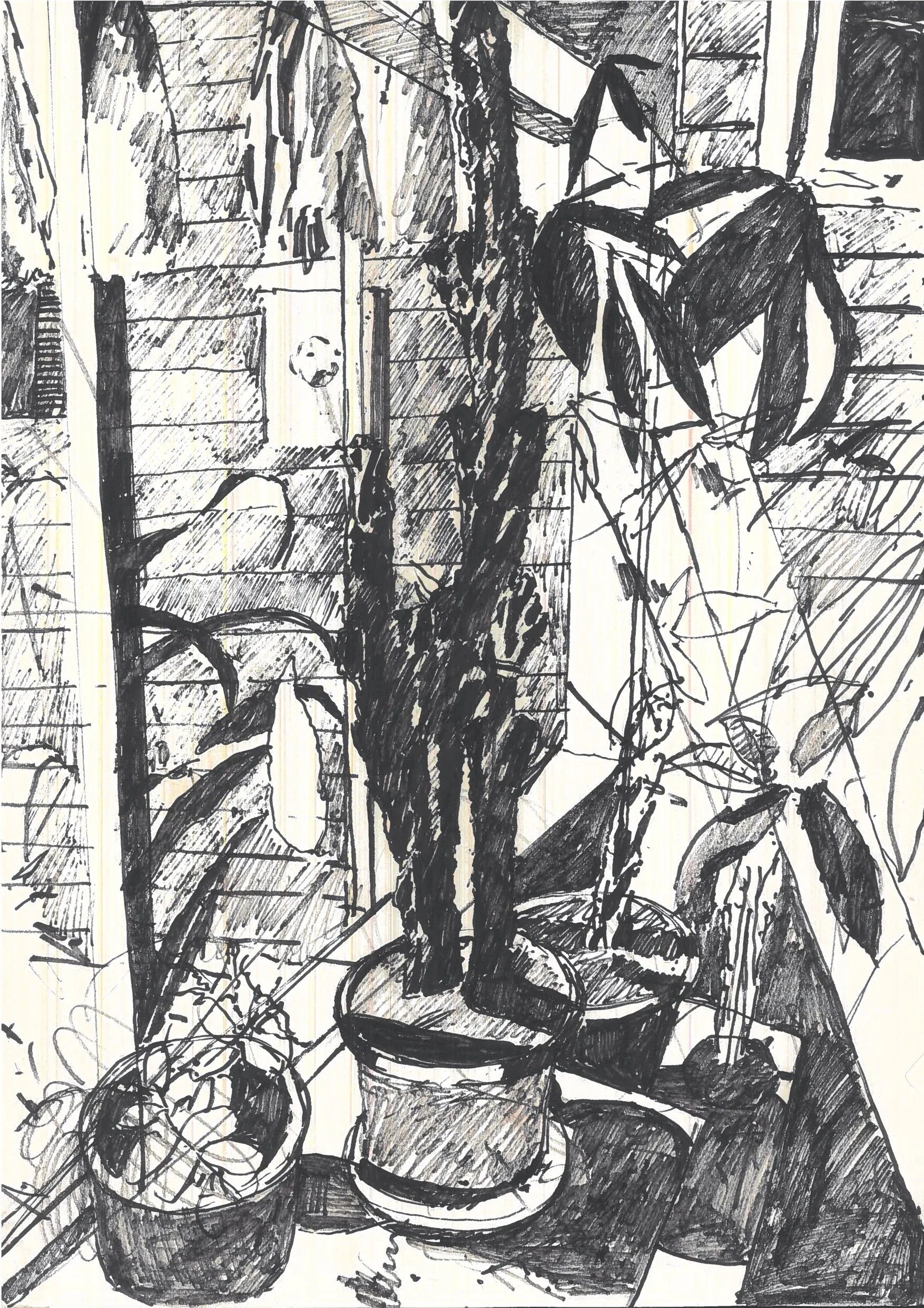 Office Depot Scan 02-25-2026_10-28-38-522.jpg