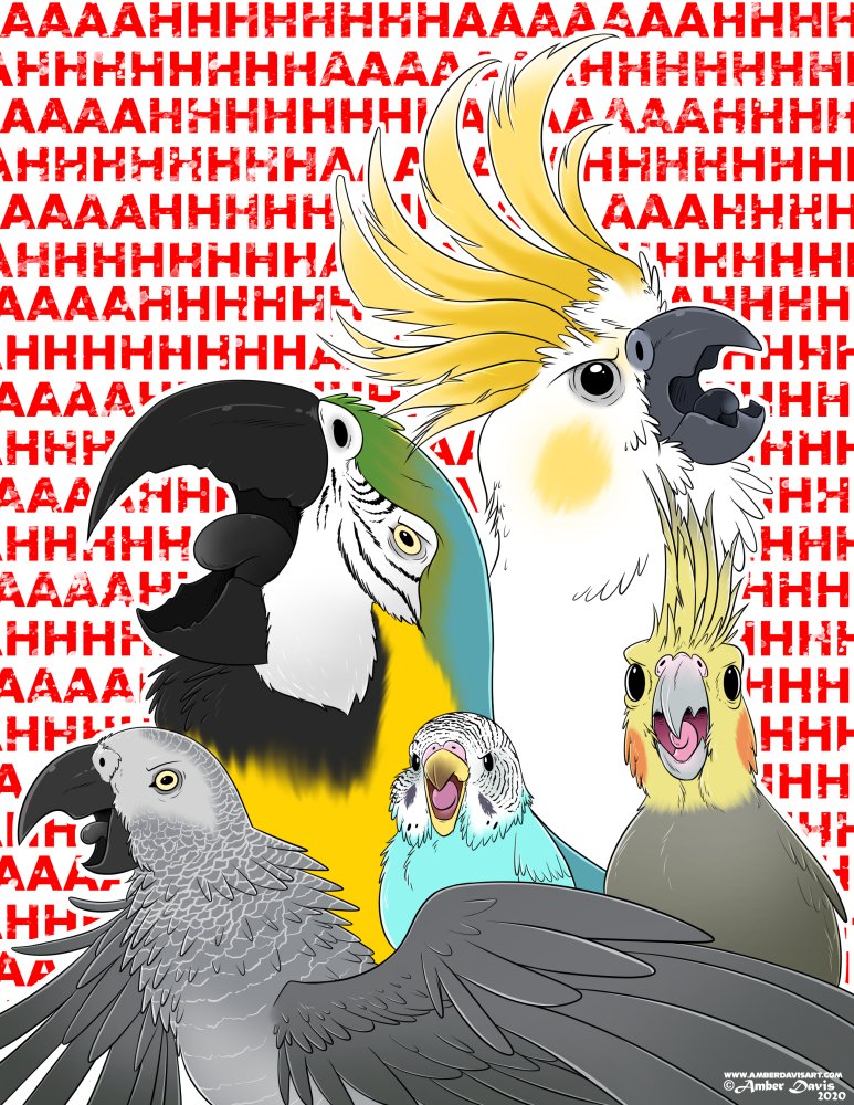 Ahhh Birds, 2020