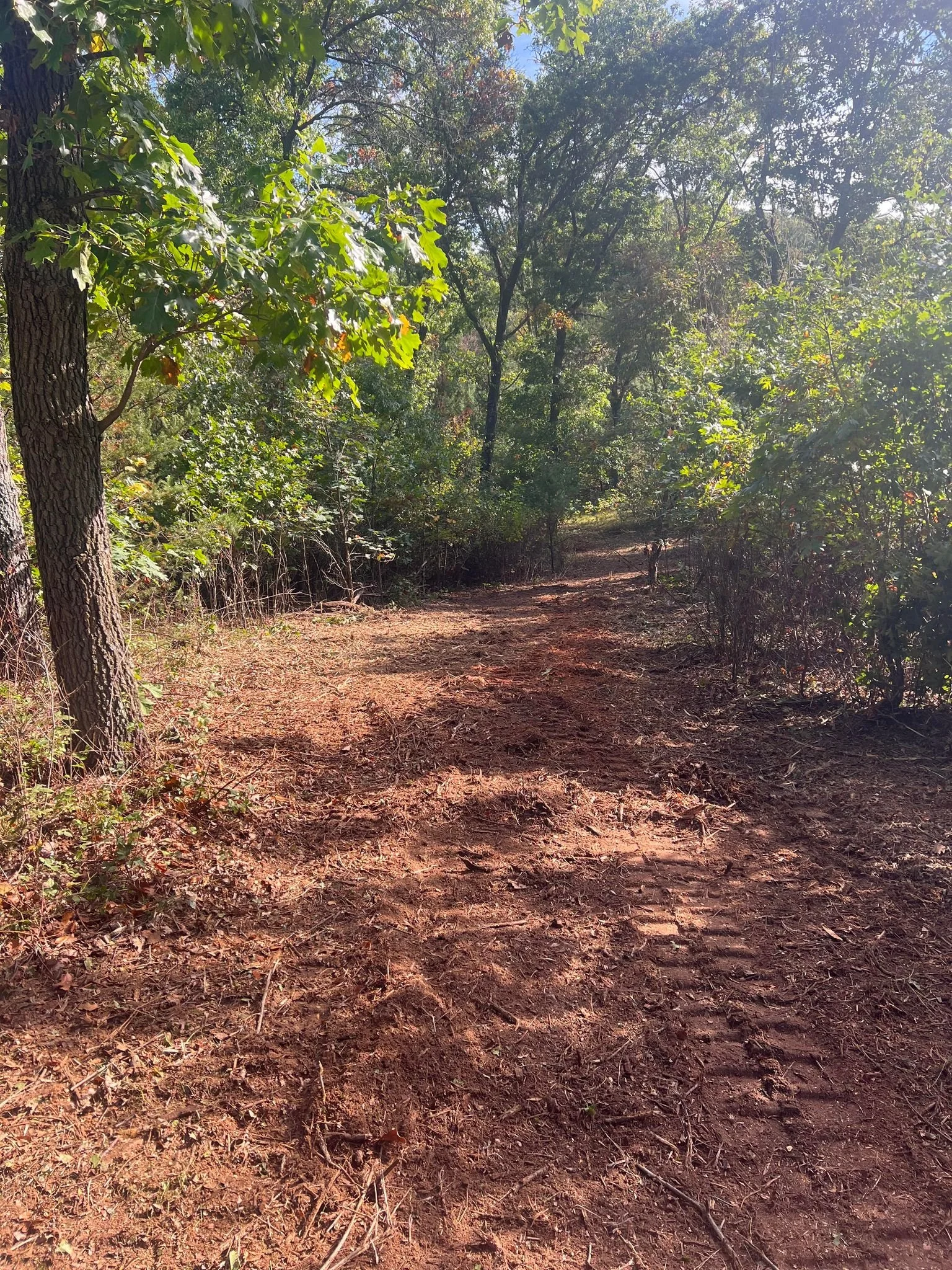 ATV Deer Stand 3.jpg