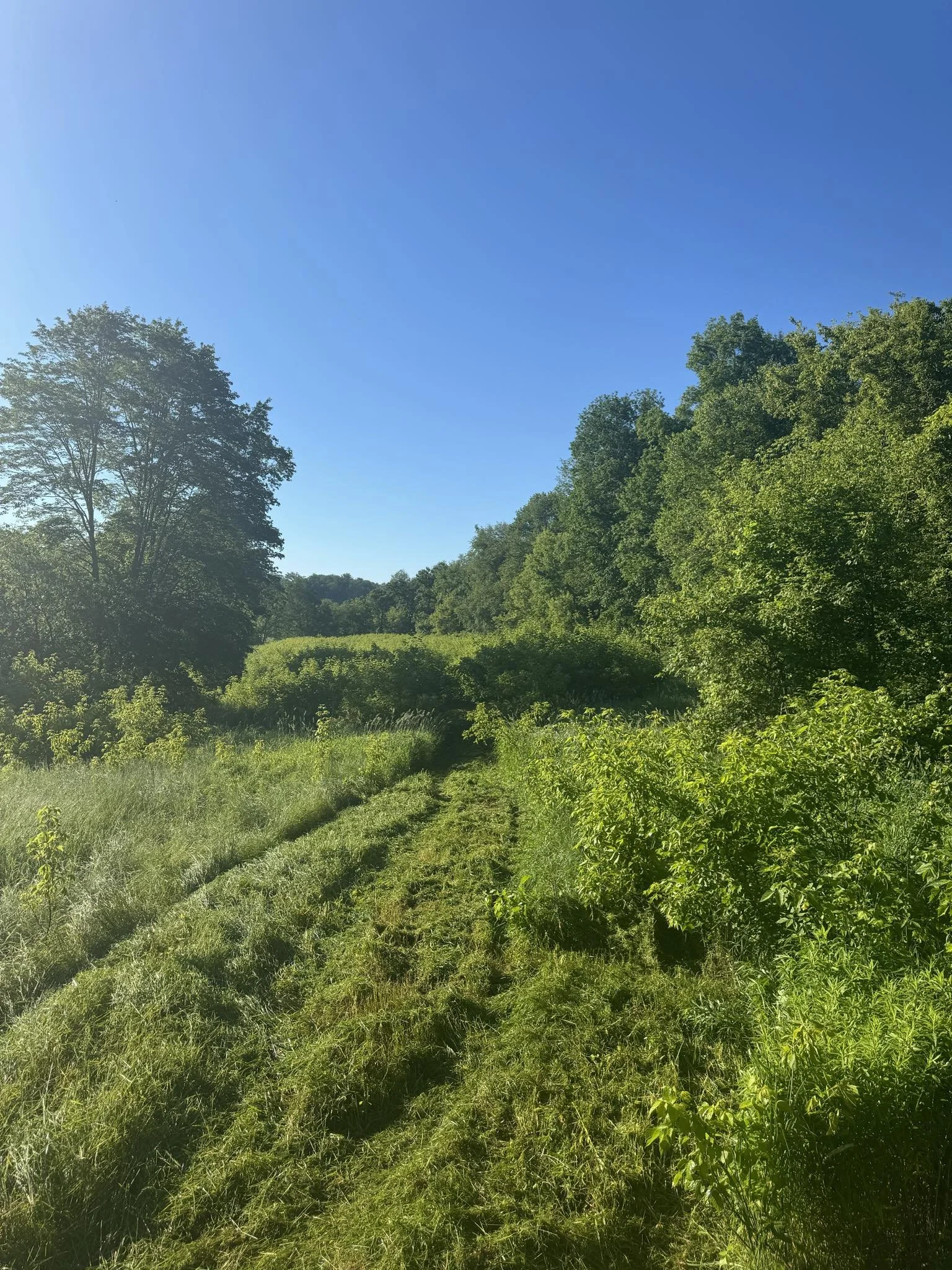 Field Reclaim 2.jfif