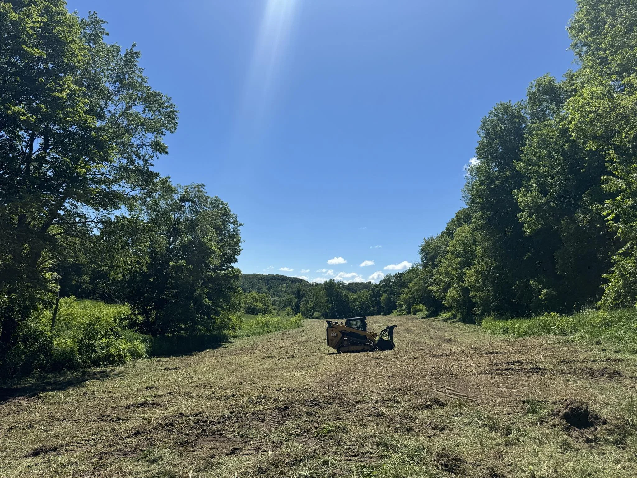 Field Reclaim 3.jfif