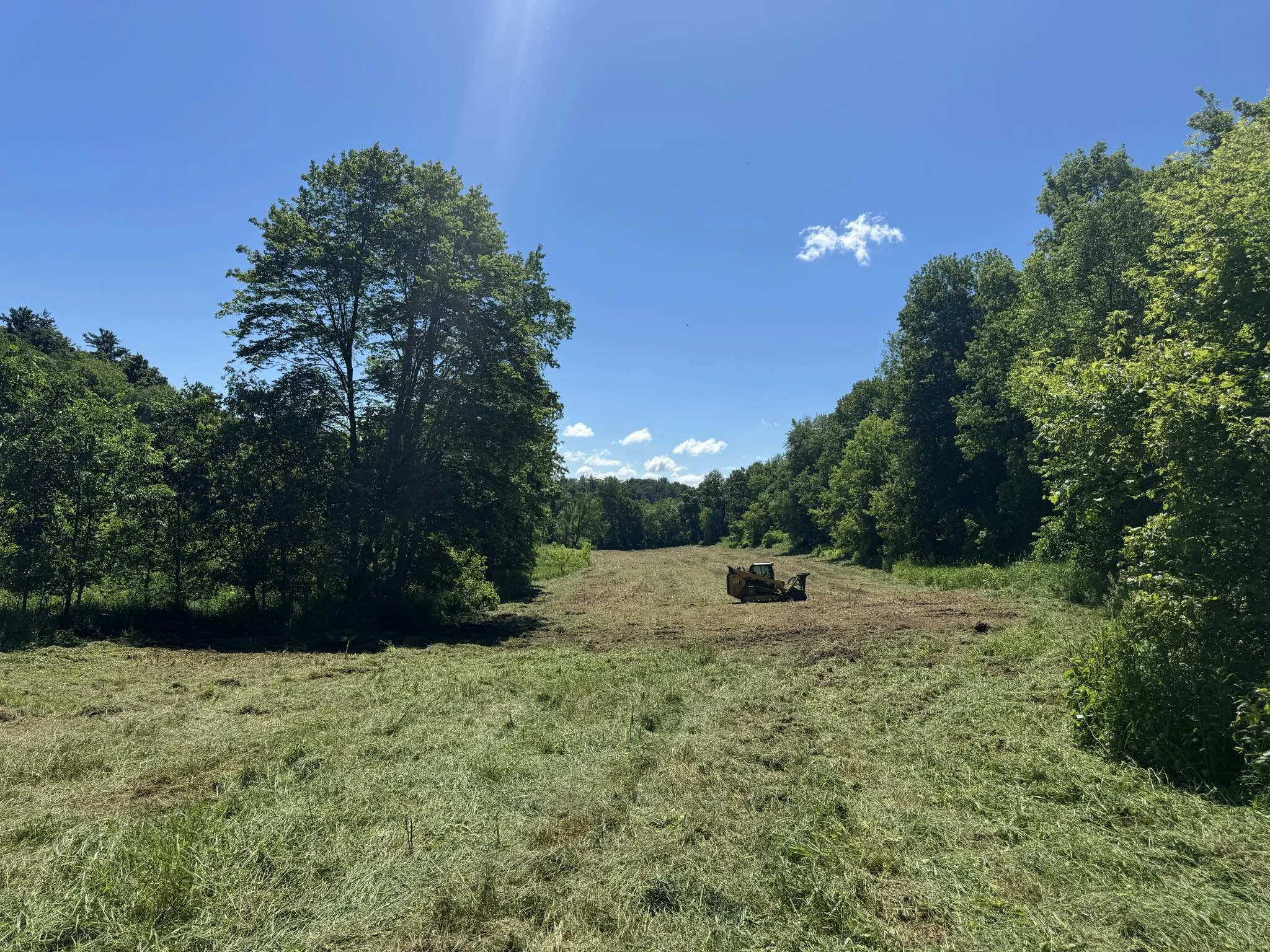 Field Reclaim 4.jfif