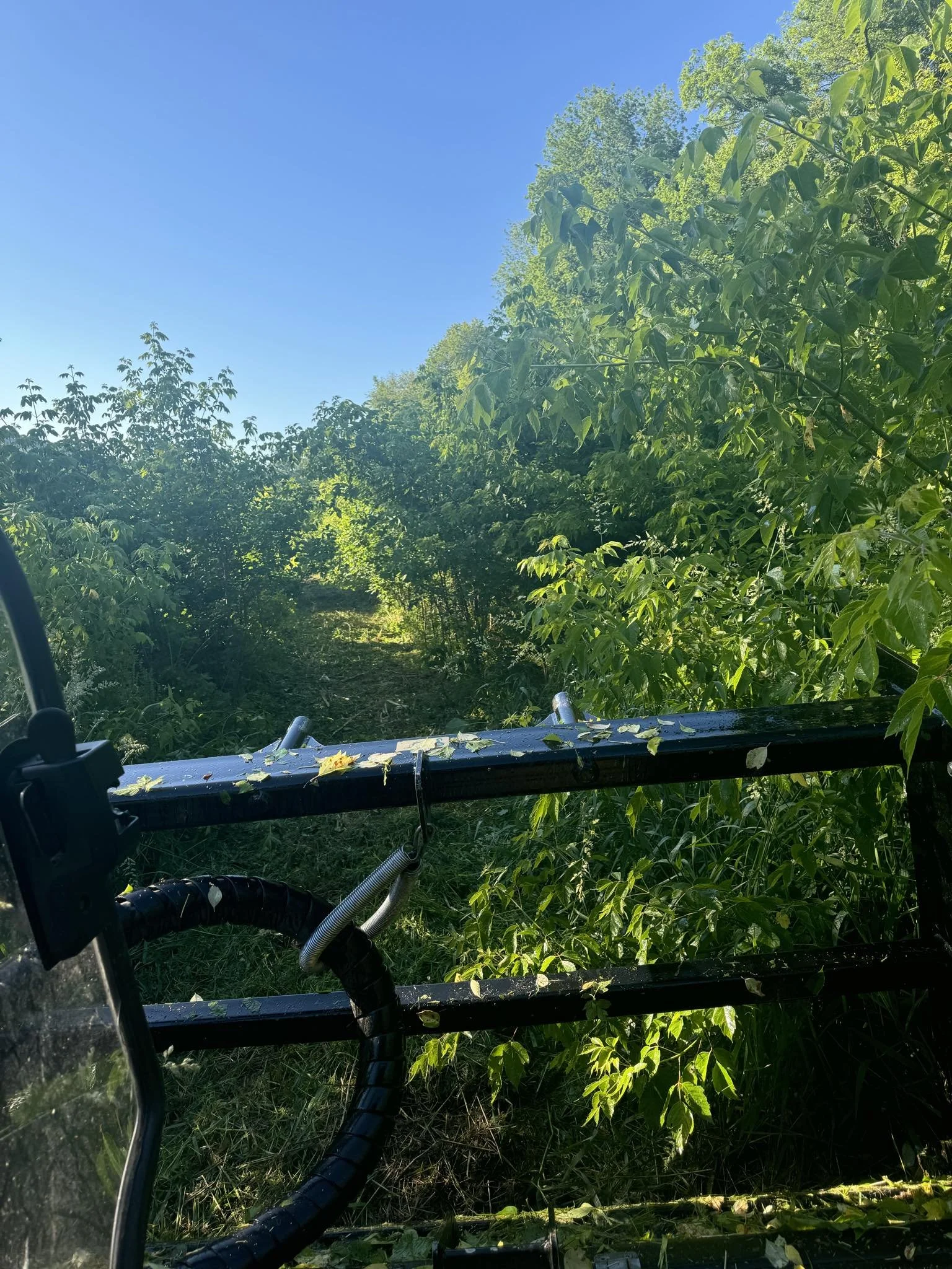 Field Reclaim 1.jfif