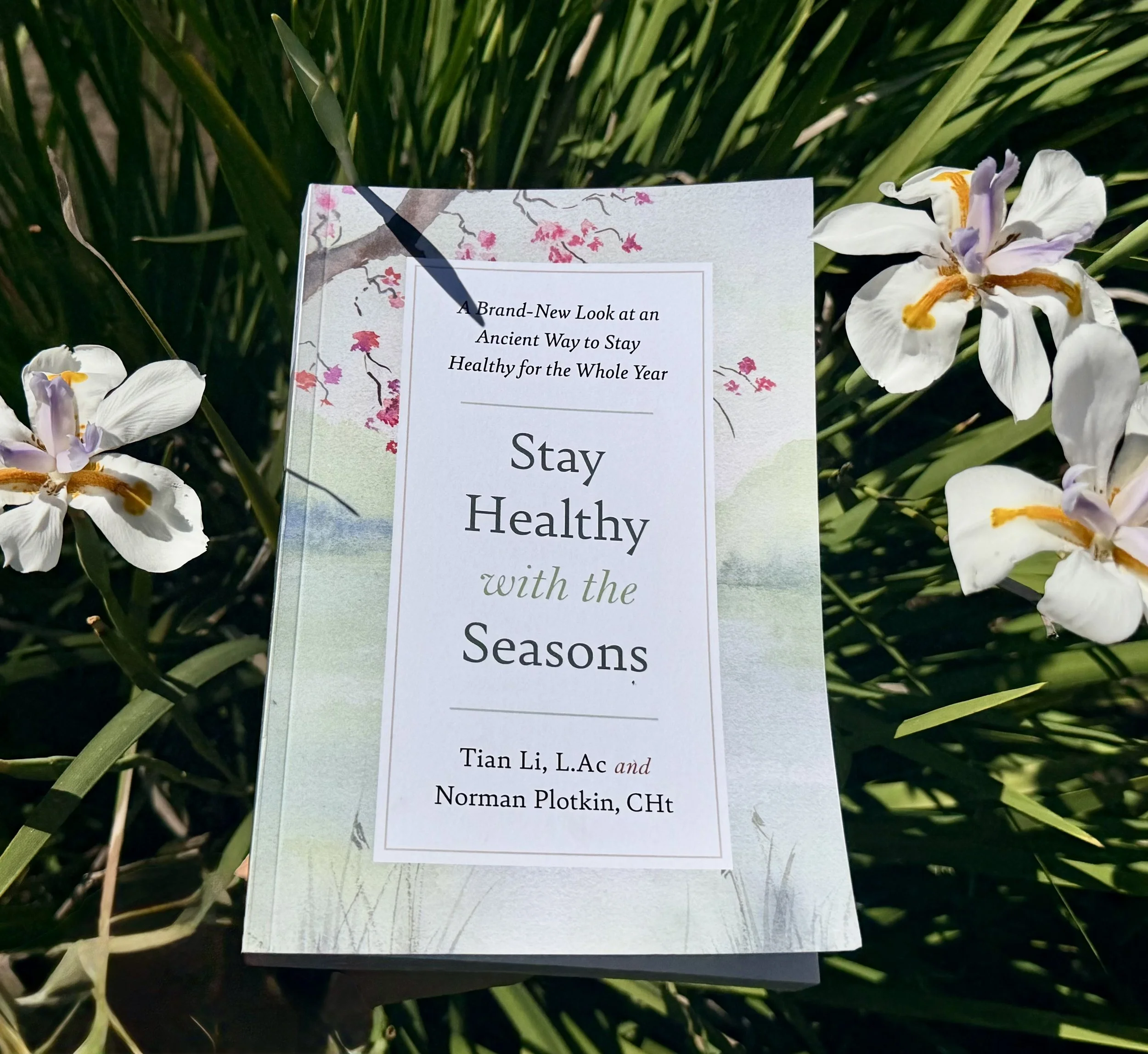 Stay Healthy with the Seasons