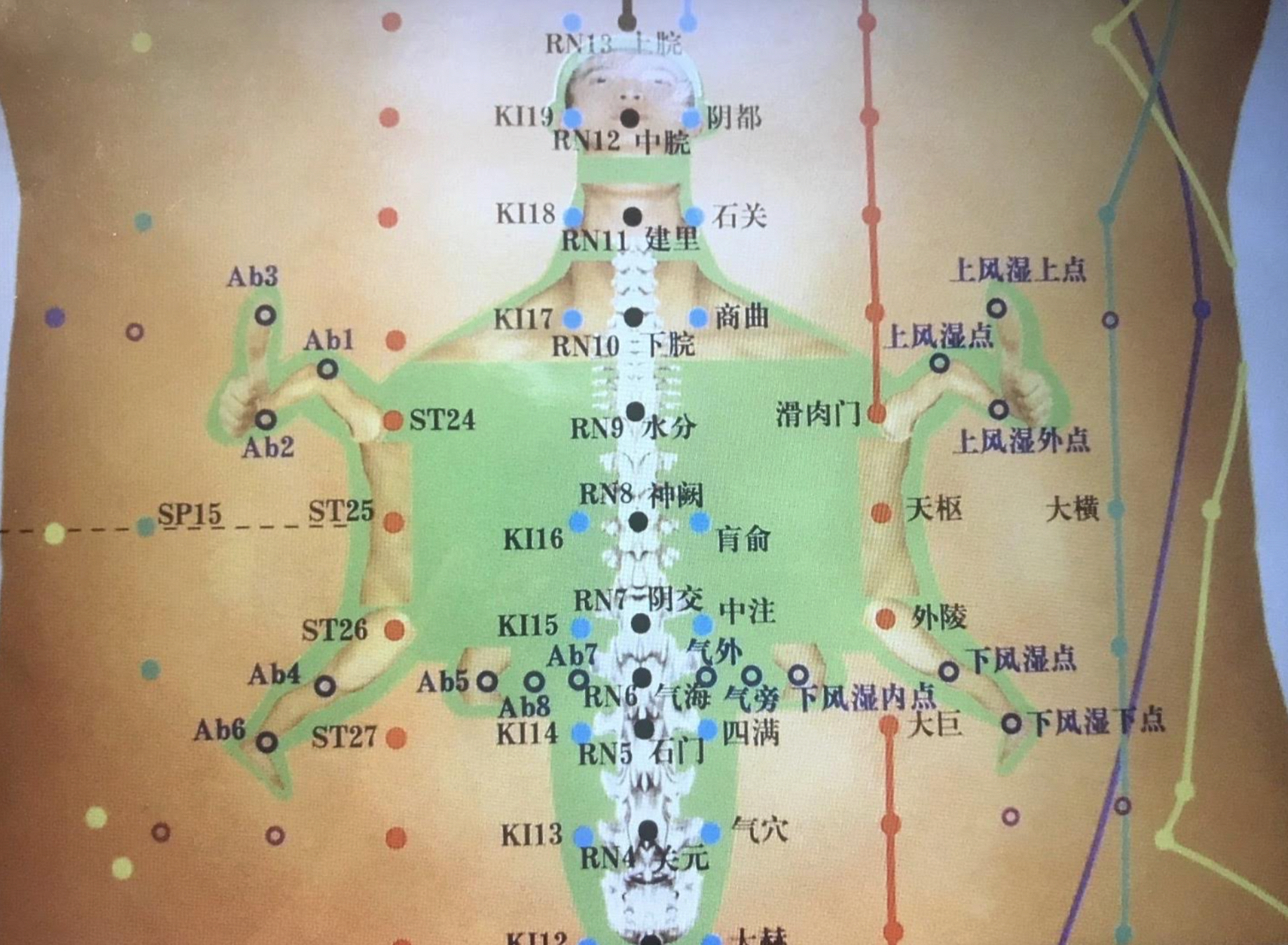 A Series on Chinese Medicine and Microsystems in the Body: The Abdomen