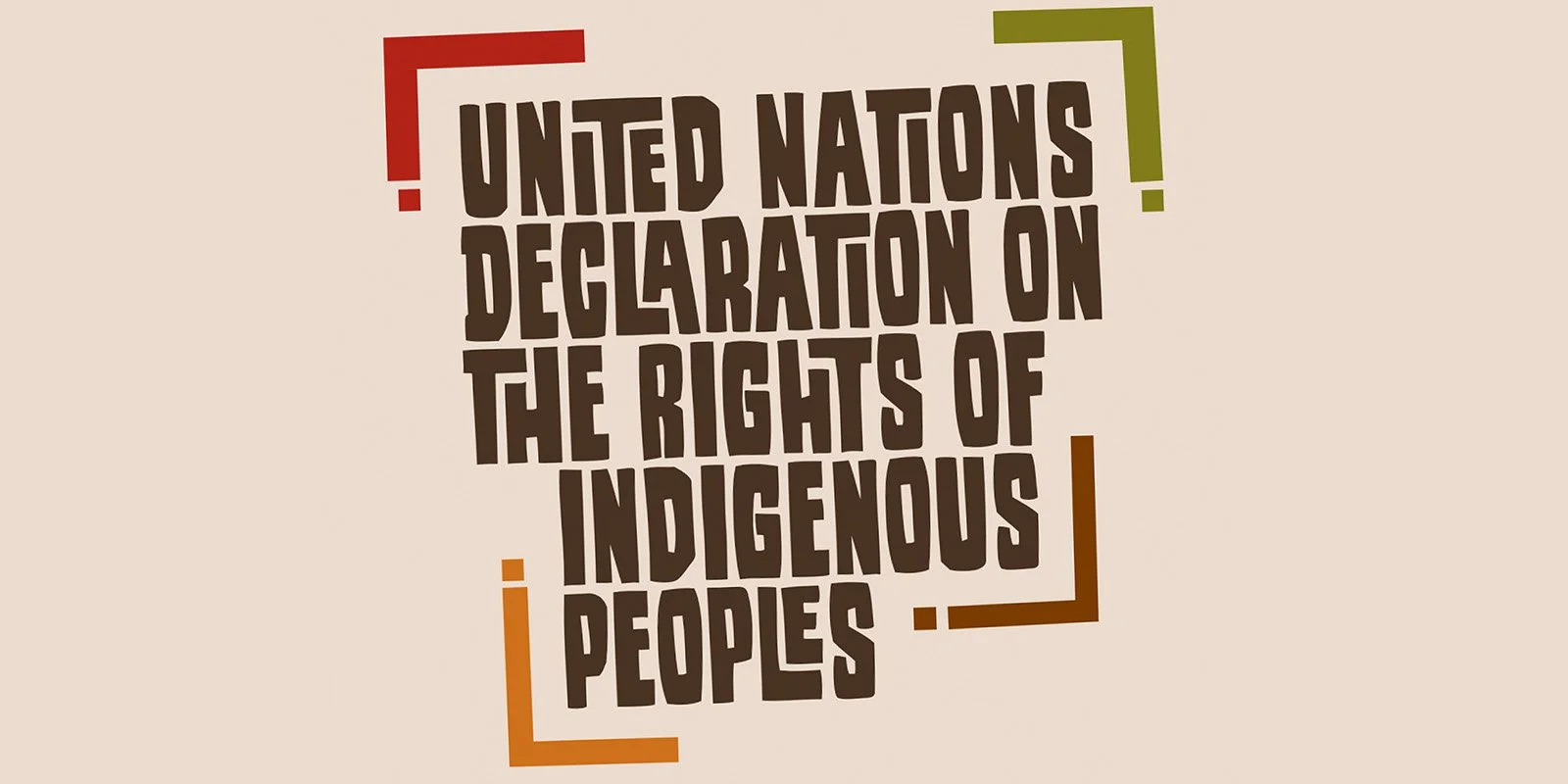 United Nations Declaration on the Rights of Indigenous Peoples (UNDRIP)
