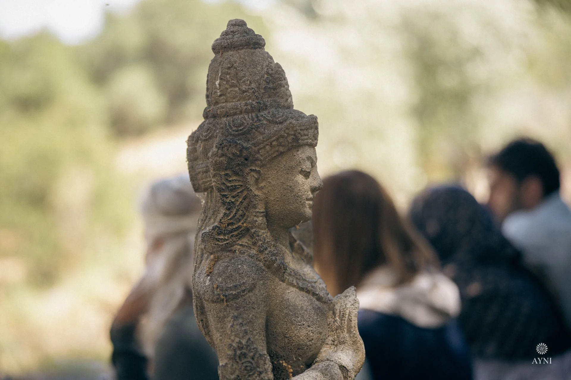 AYNI1709.jpg