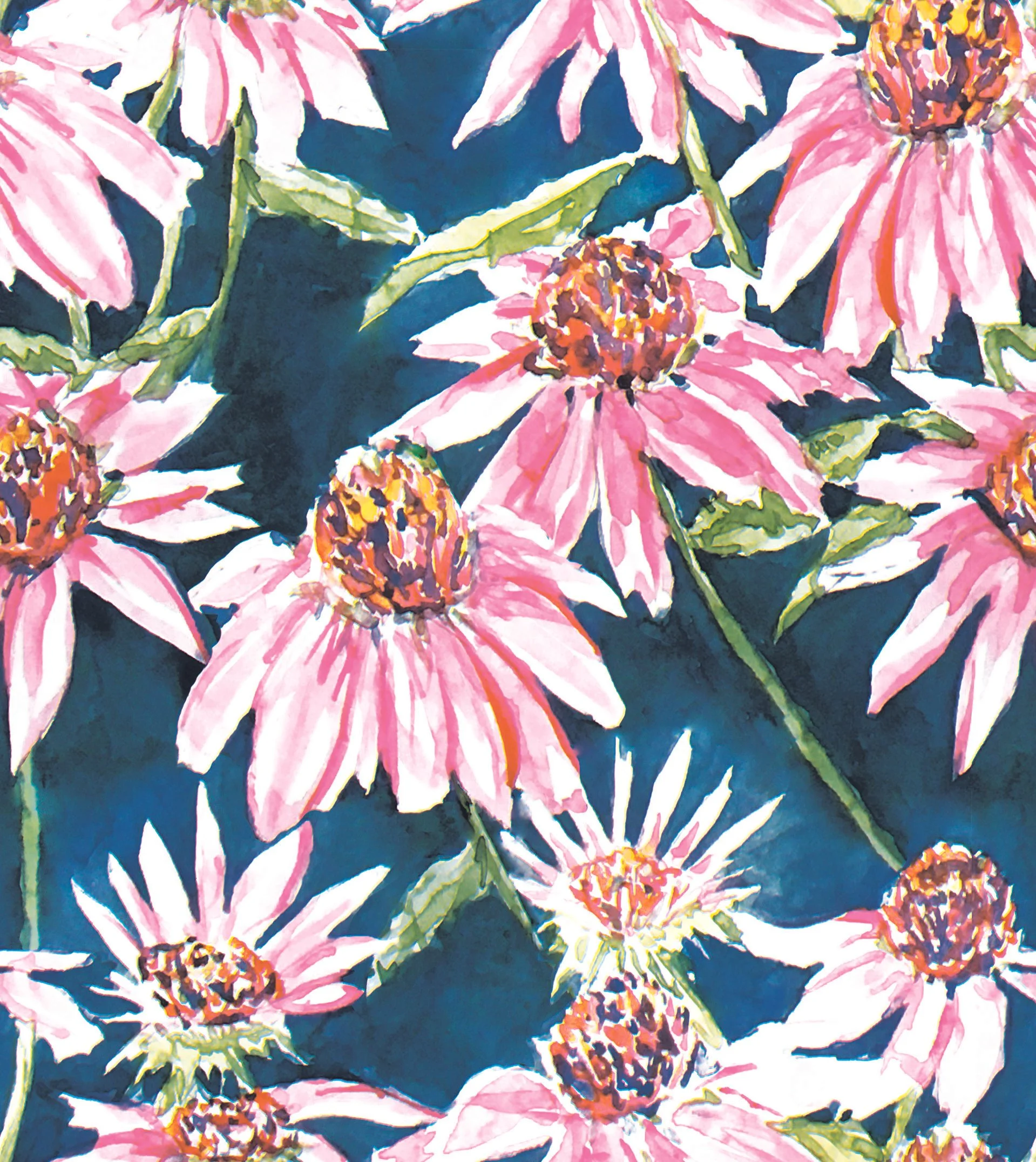 Coneflower Print
