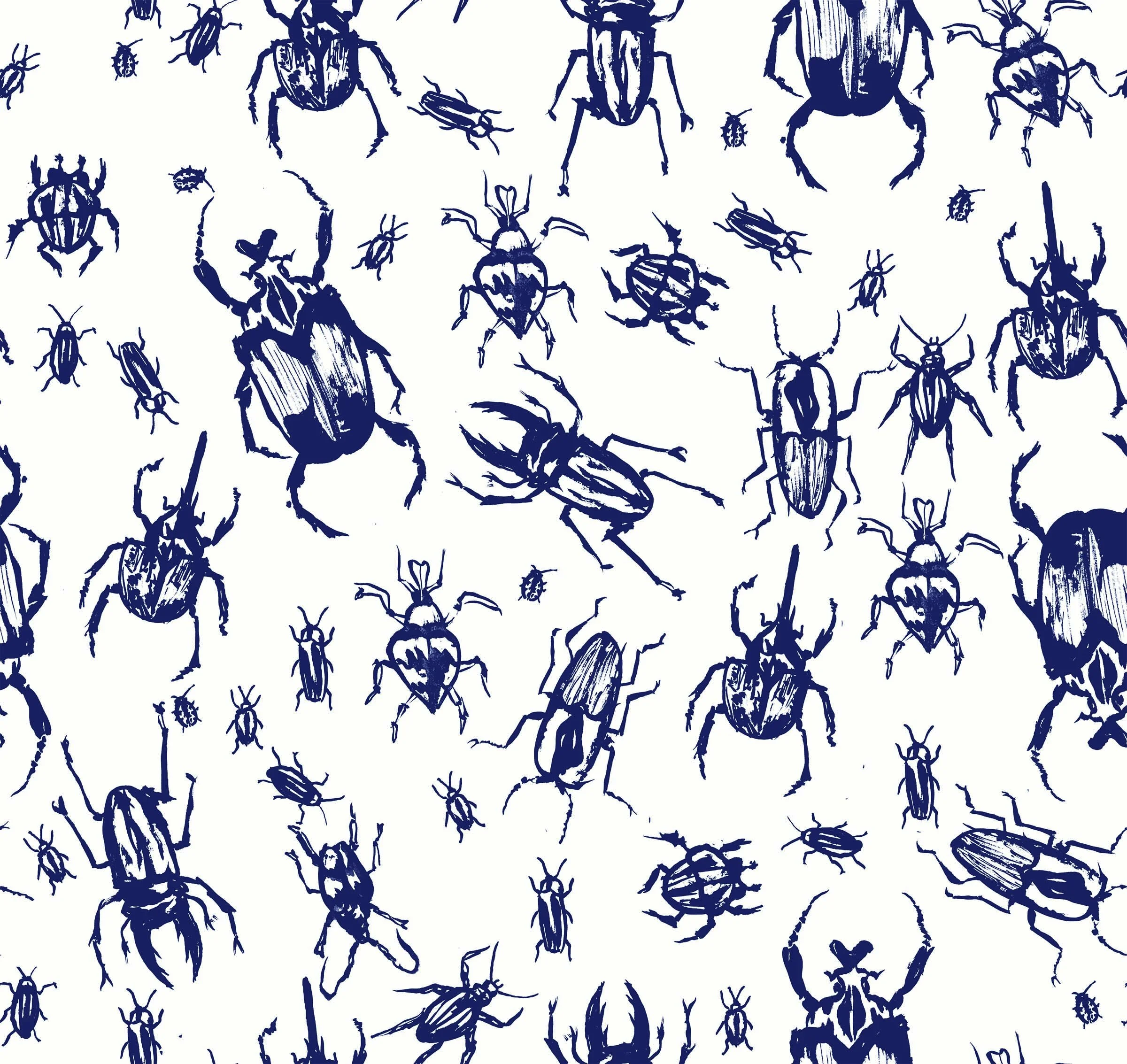 BEETLE PRINT-FINAL.jpg