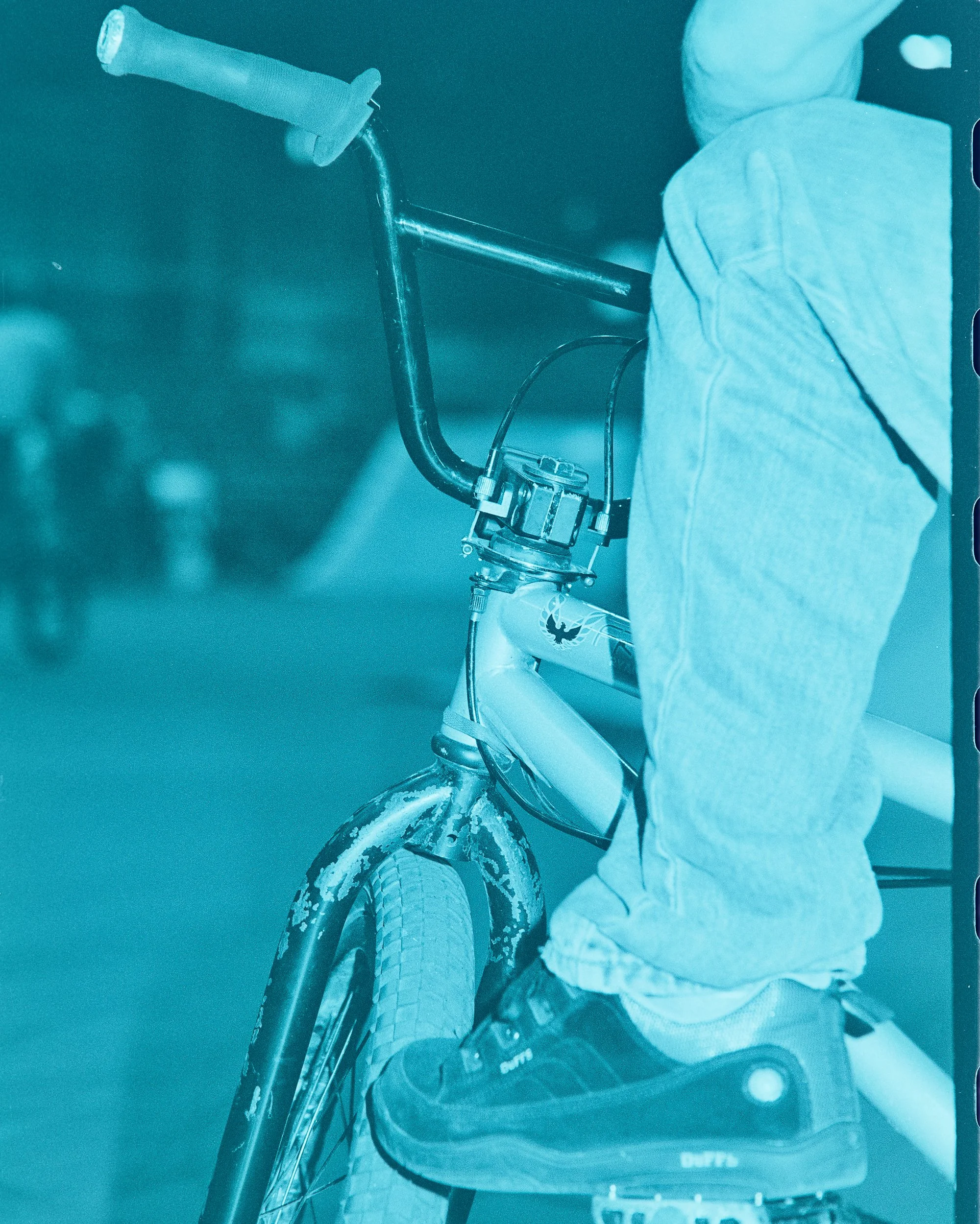 Backyard Telford3355.jpg