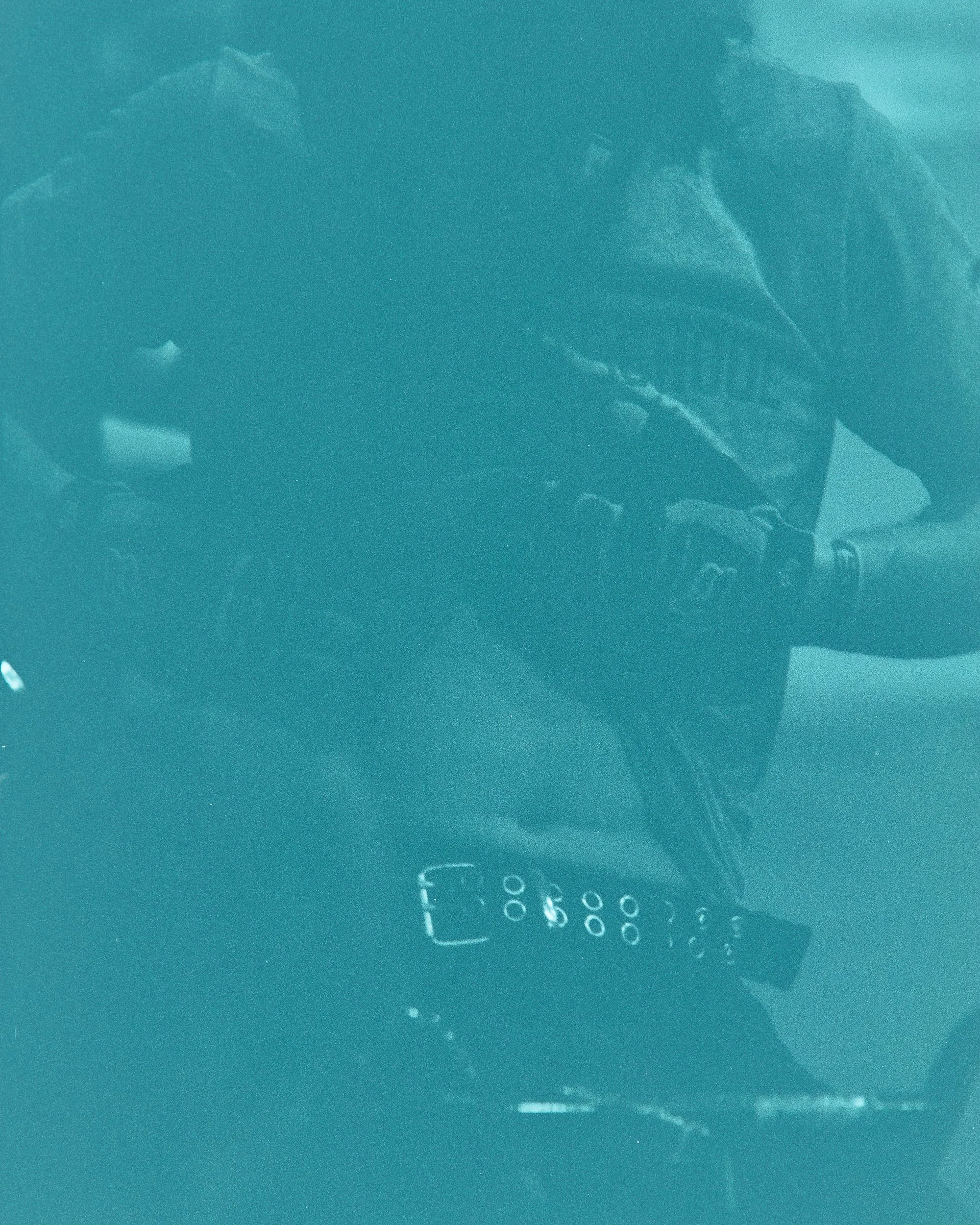 Backyard Telford3338.jpg