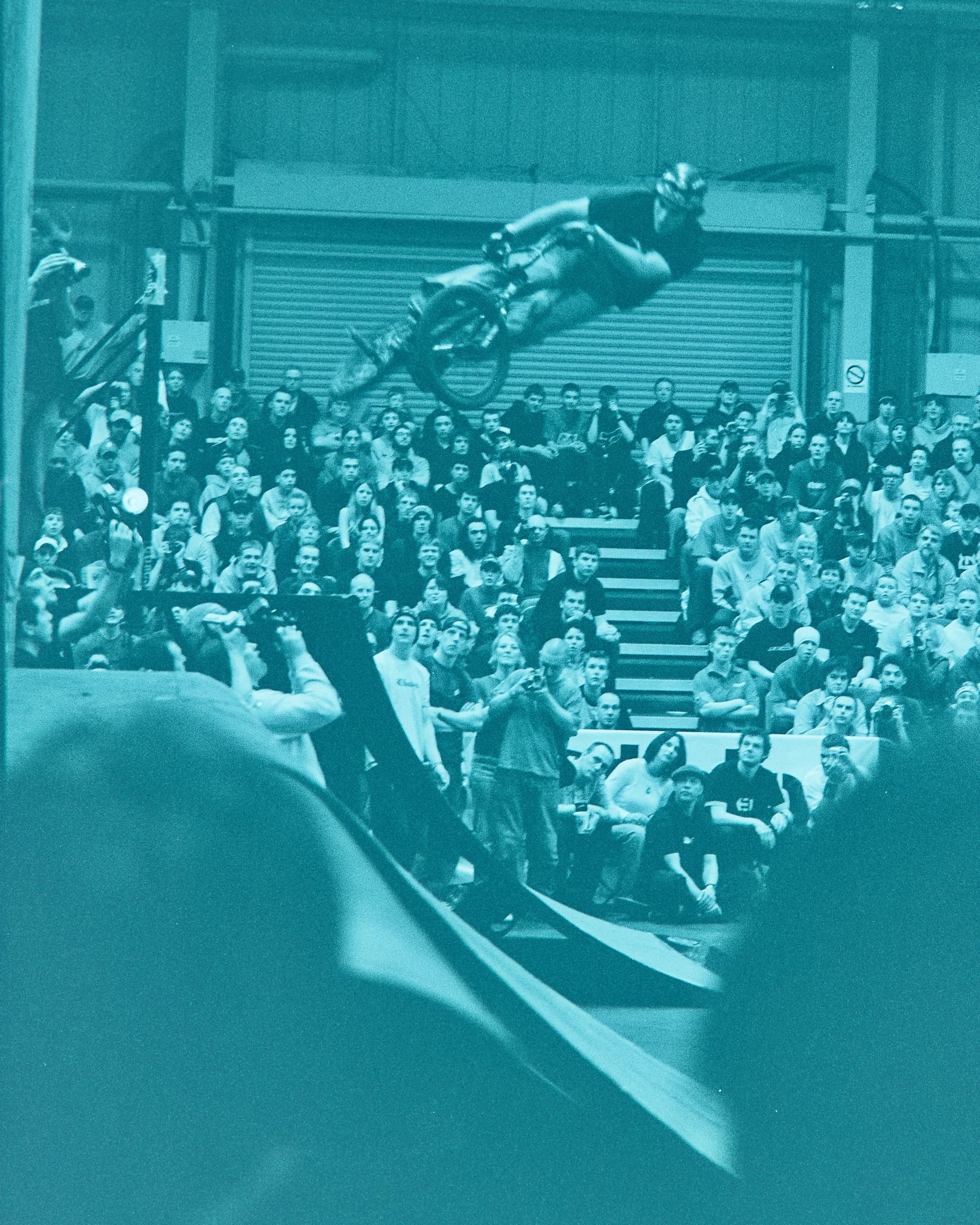 Backyard Telford3387.jpg