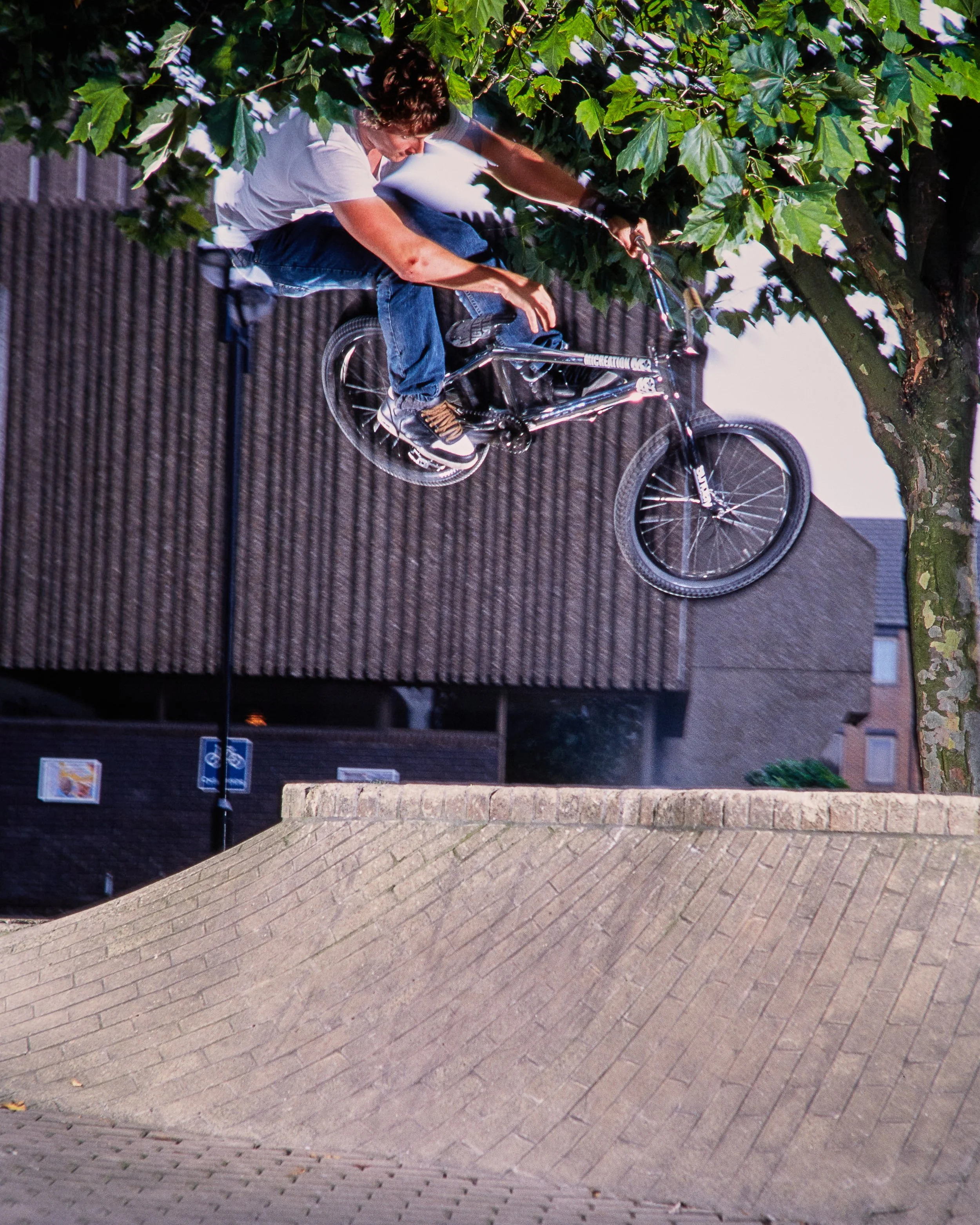 Ian Schwartz2975.jpg