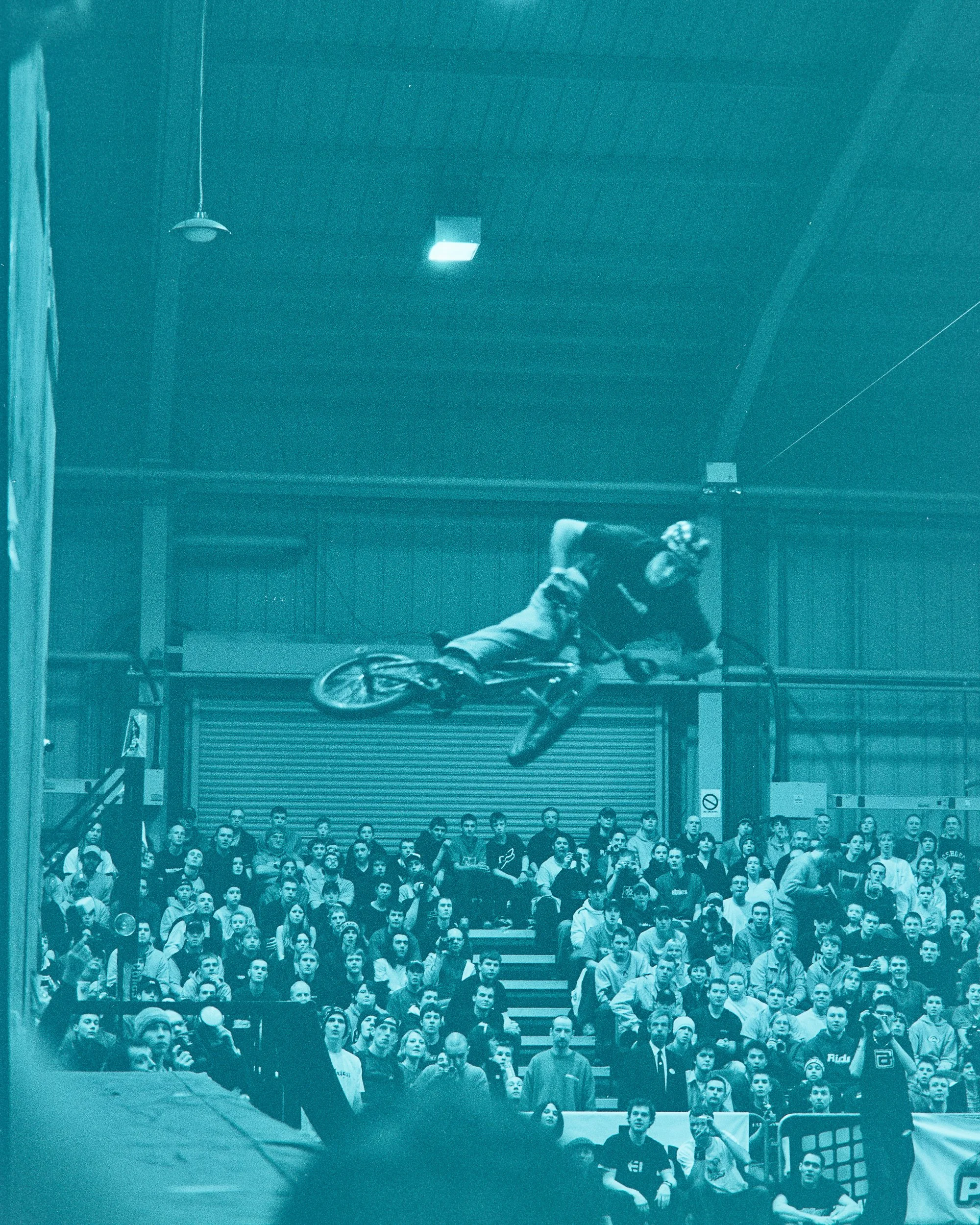 Backyard Telford3382.jpg