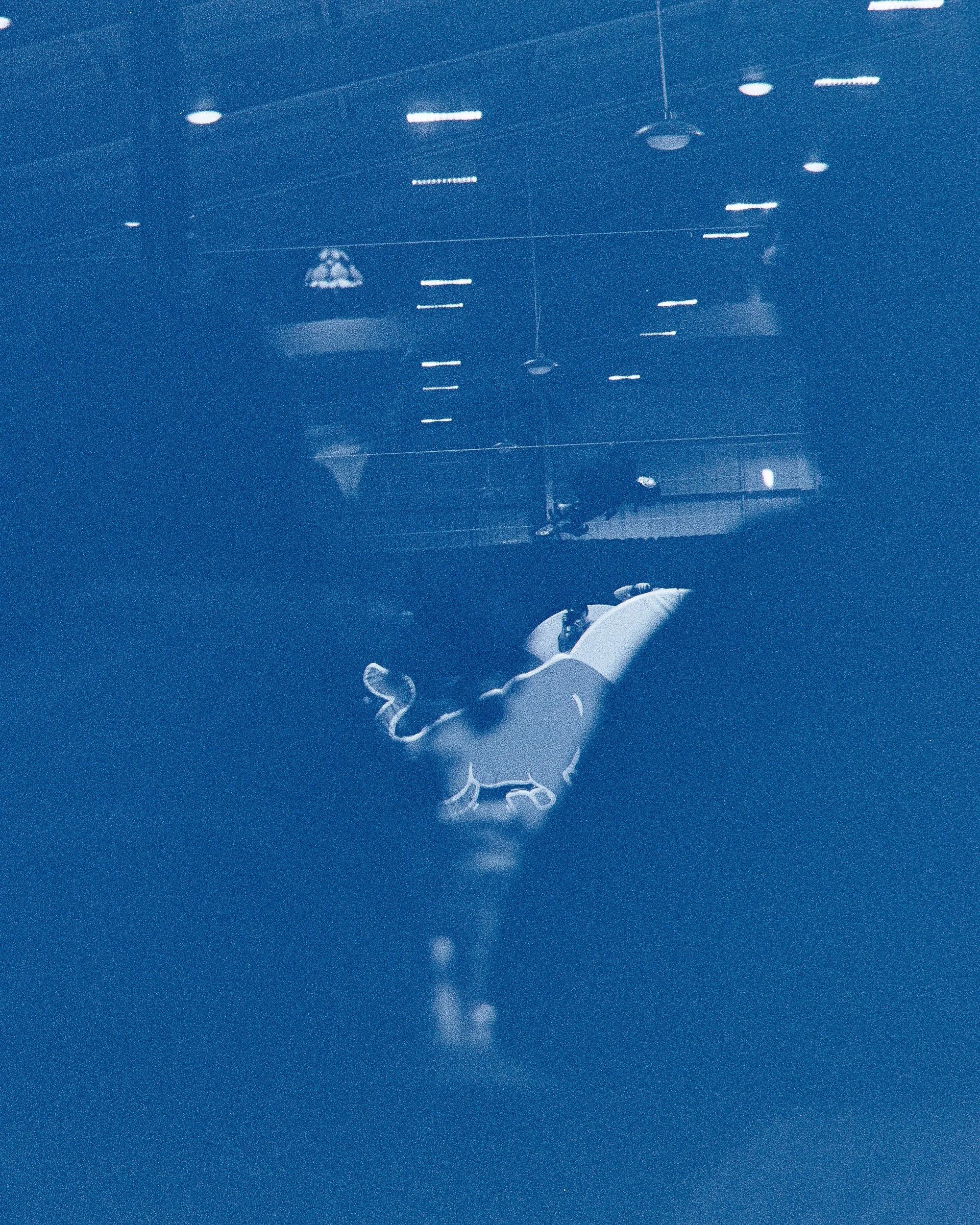 Backyard Telford3410.jpg