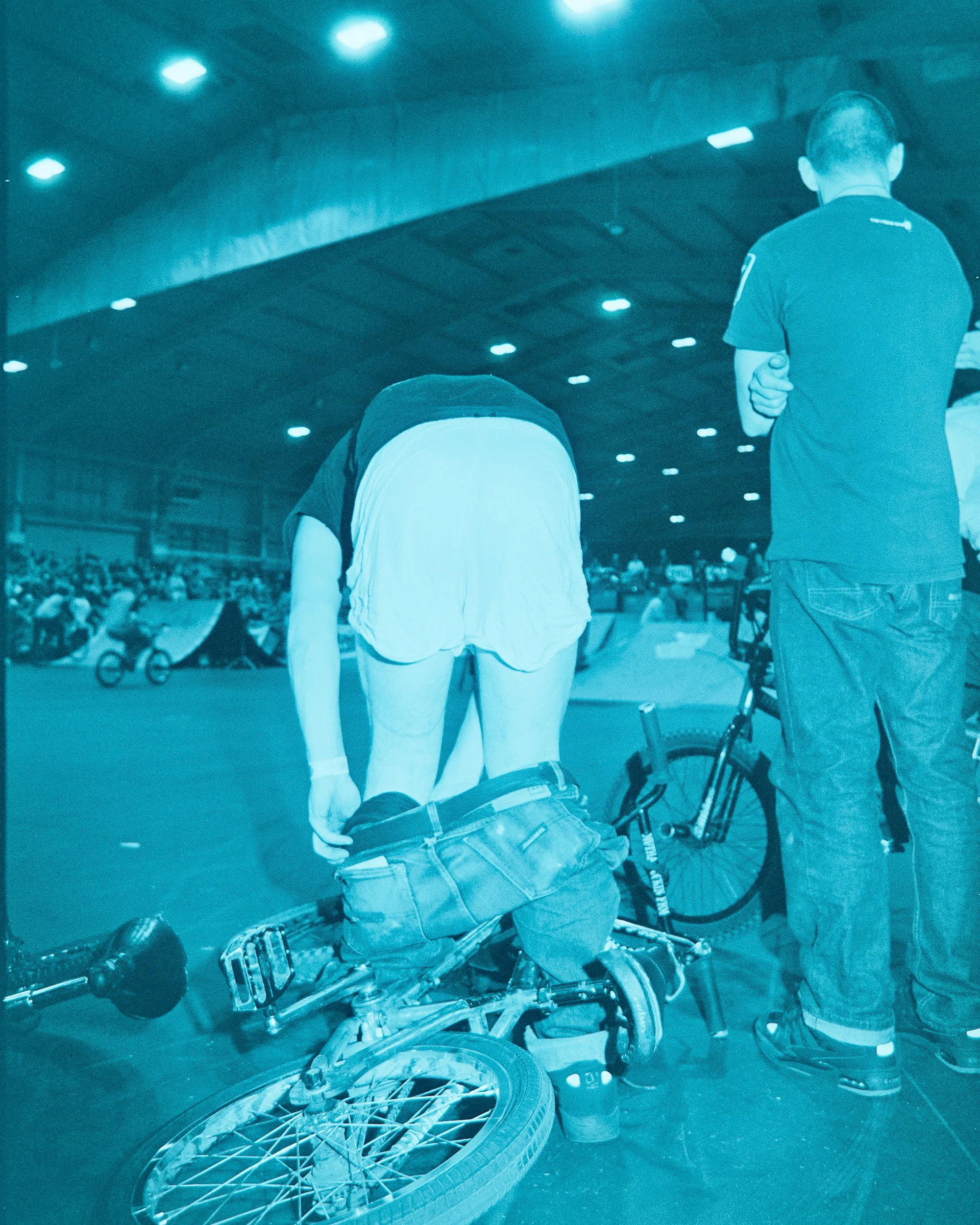 Backyard Telford3377.jpg