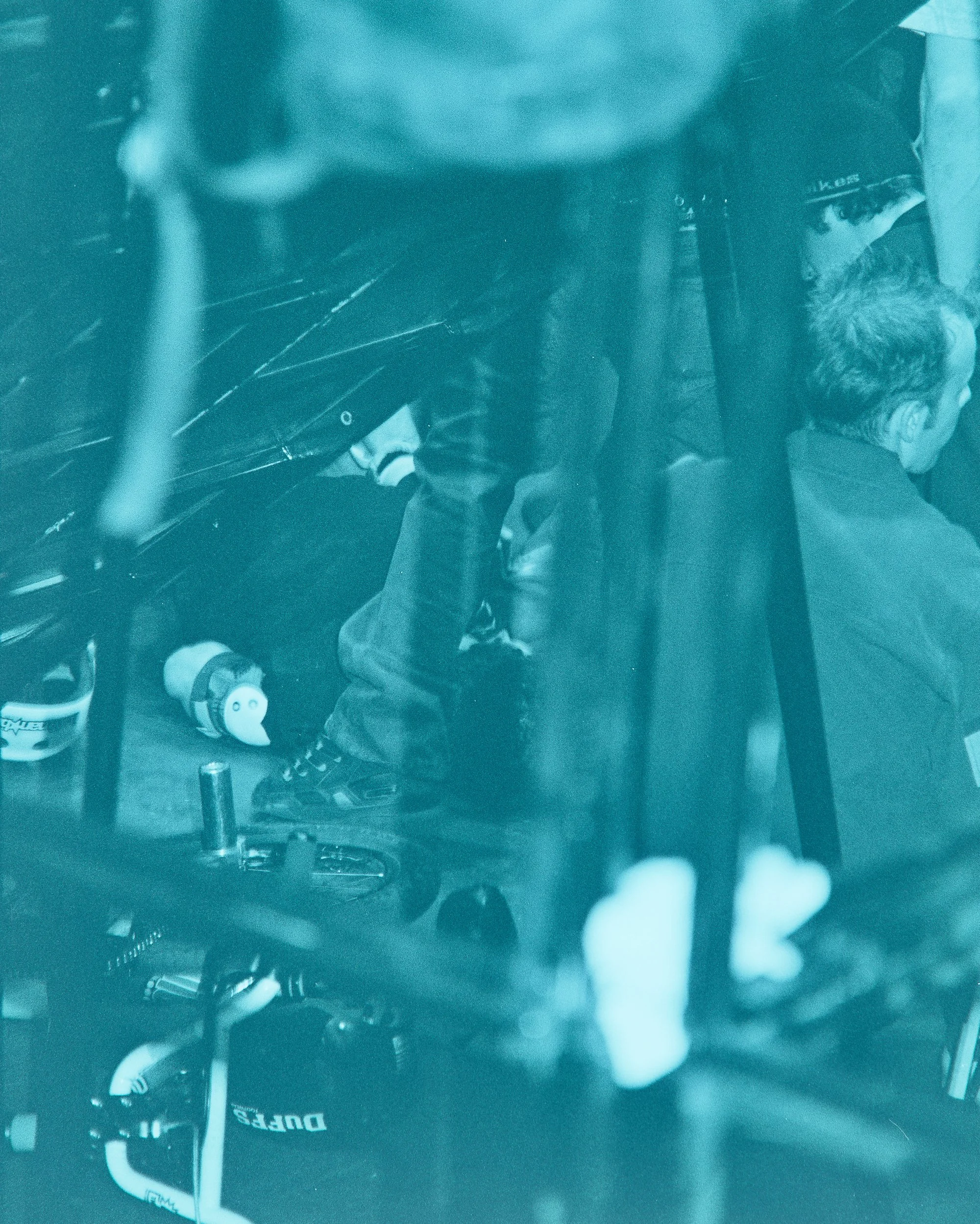 Backyard Telford3405.jpg