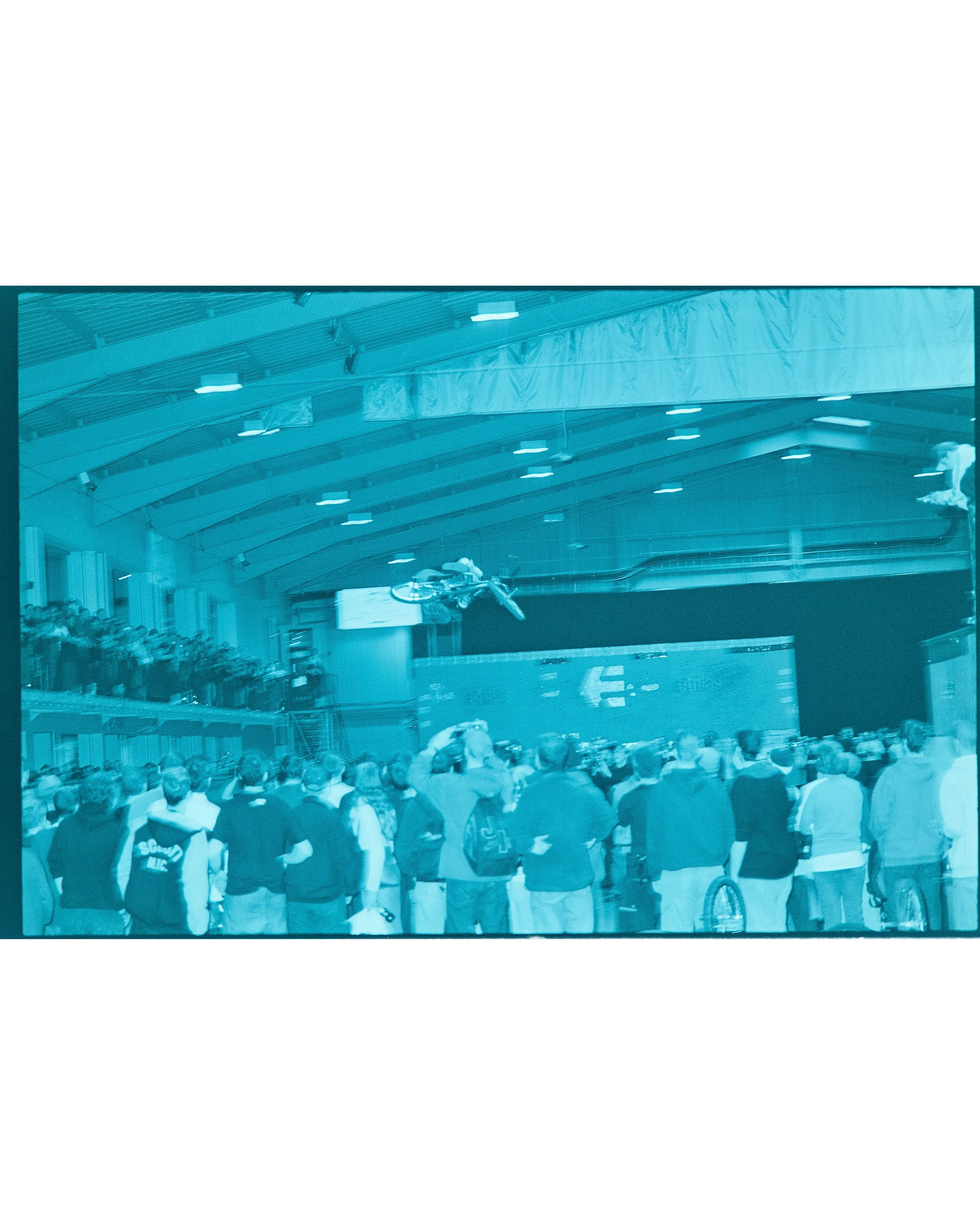 Backyard Telford3404.jpg