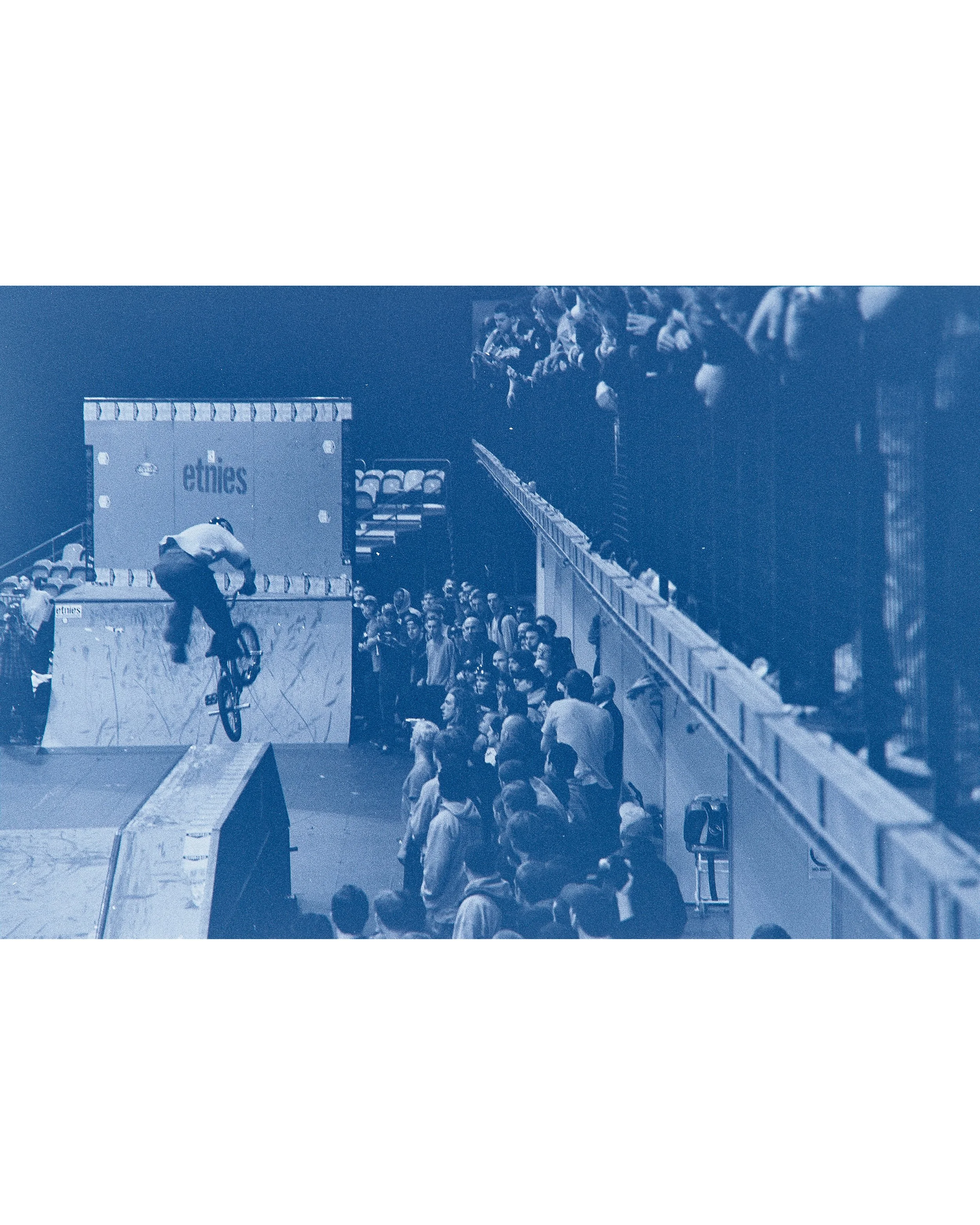 Backyard Telford3426.jpg