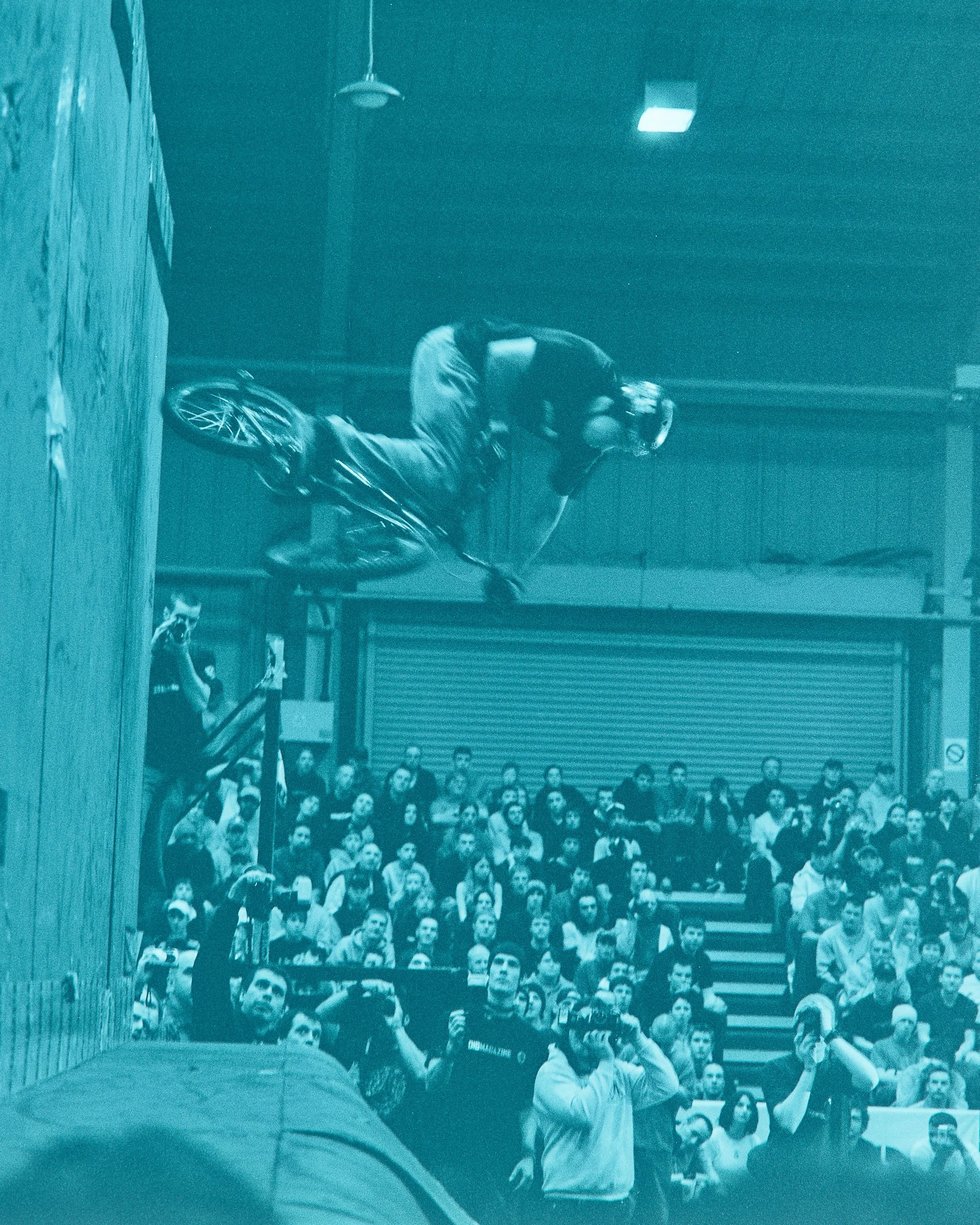 Backyard Telford3386.jpg