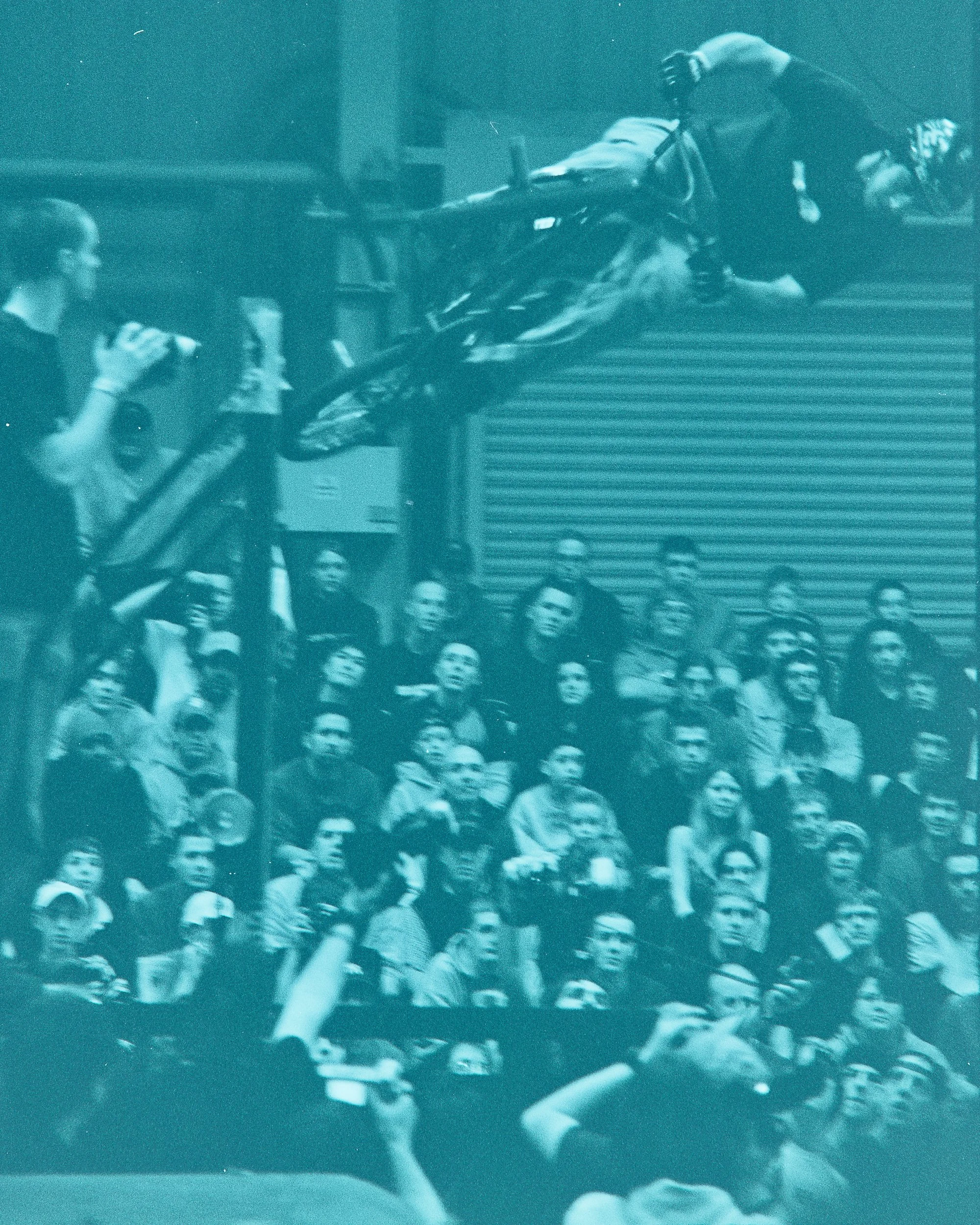 Backyard Telford3389.jpg