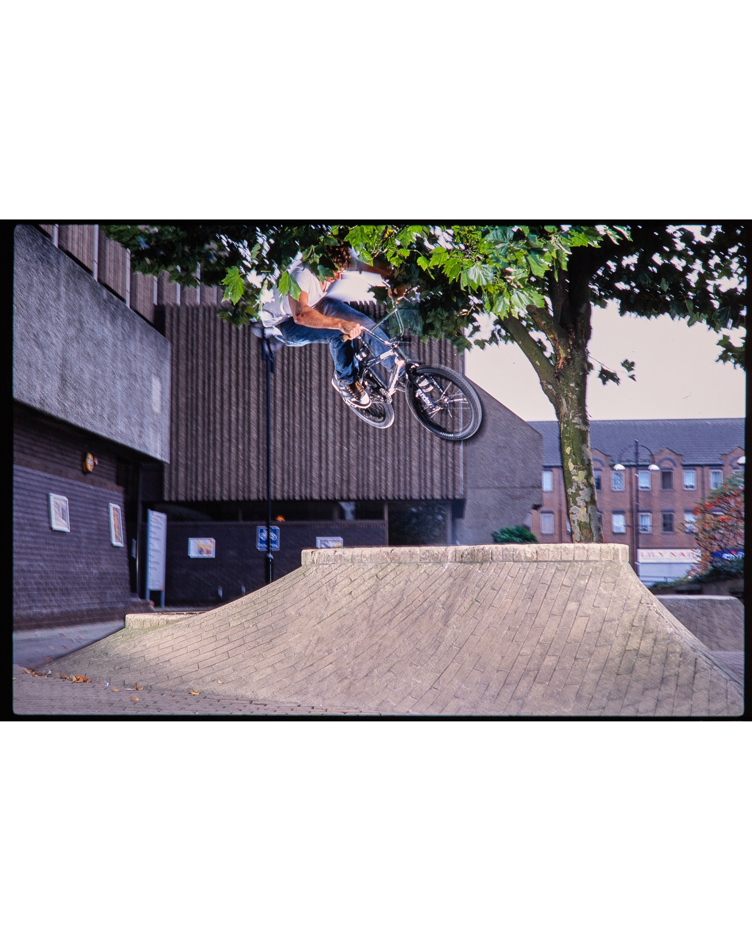 Ian Schwartz2973.jpg