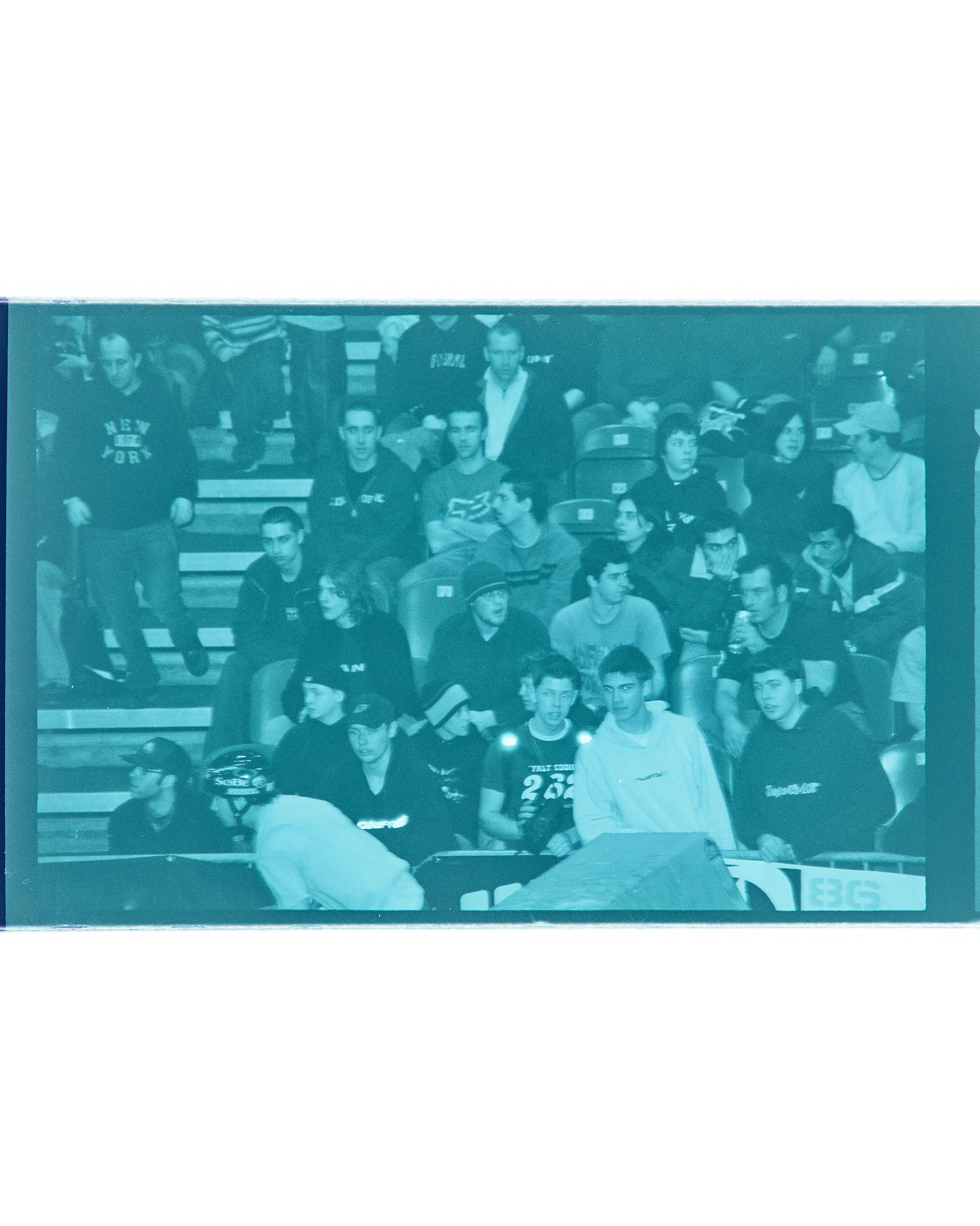 Backyard Telford3312 1.jpg