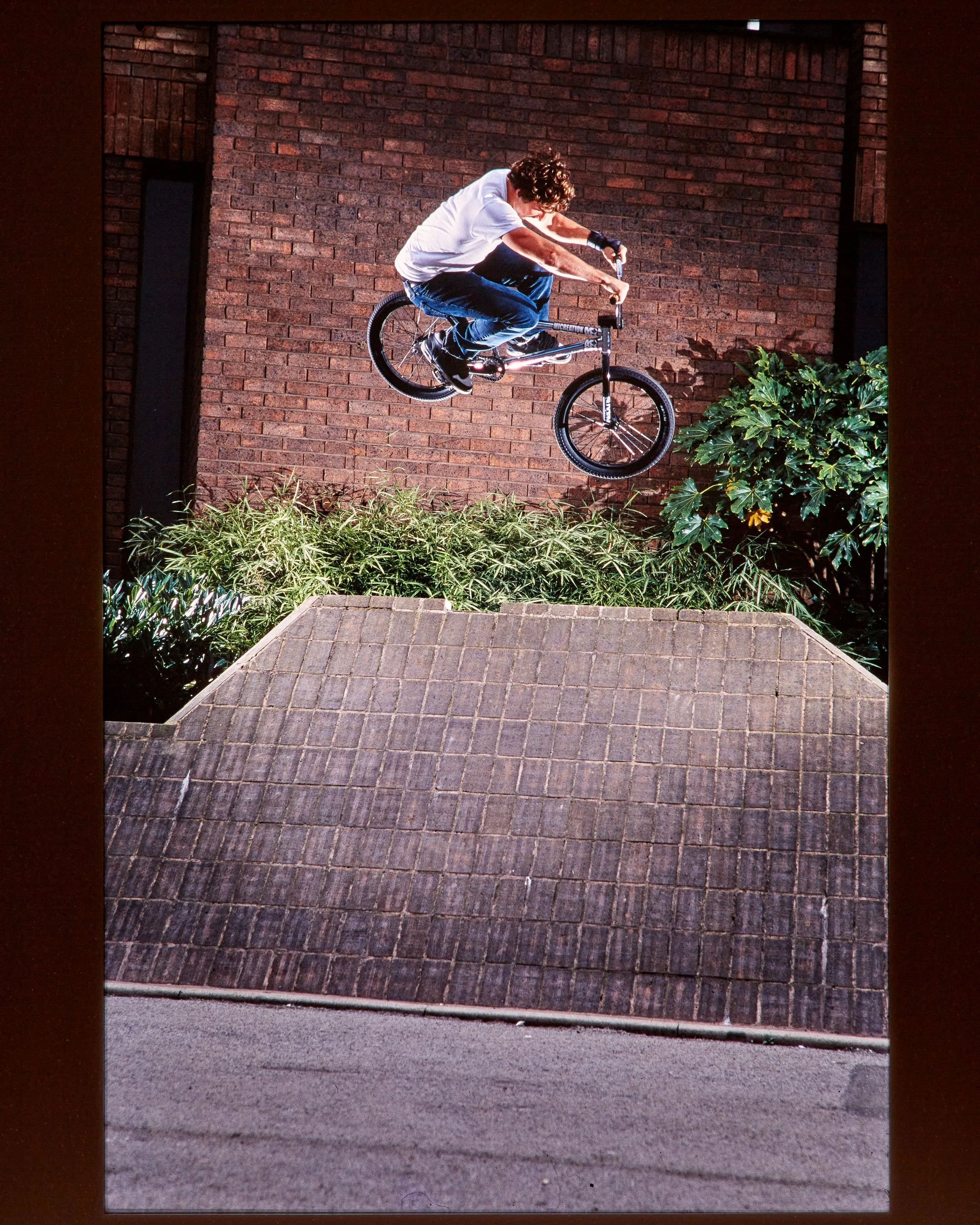 Ian Schwartz2863.jpg