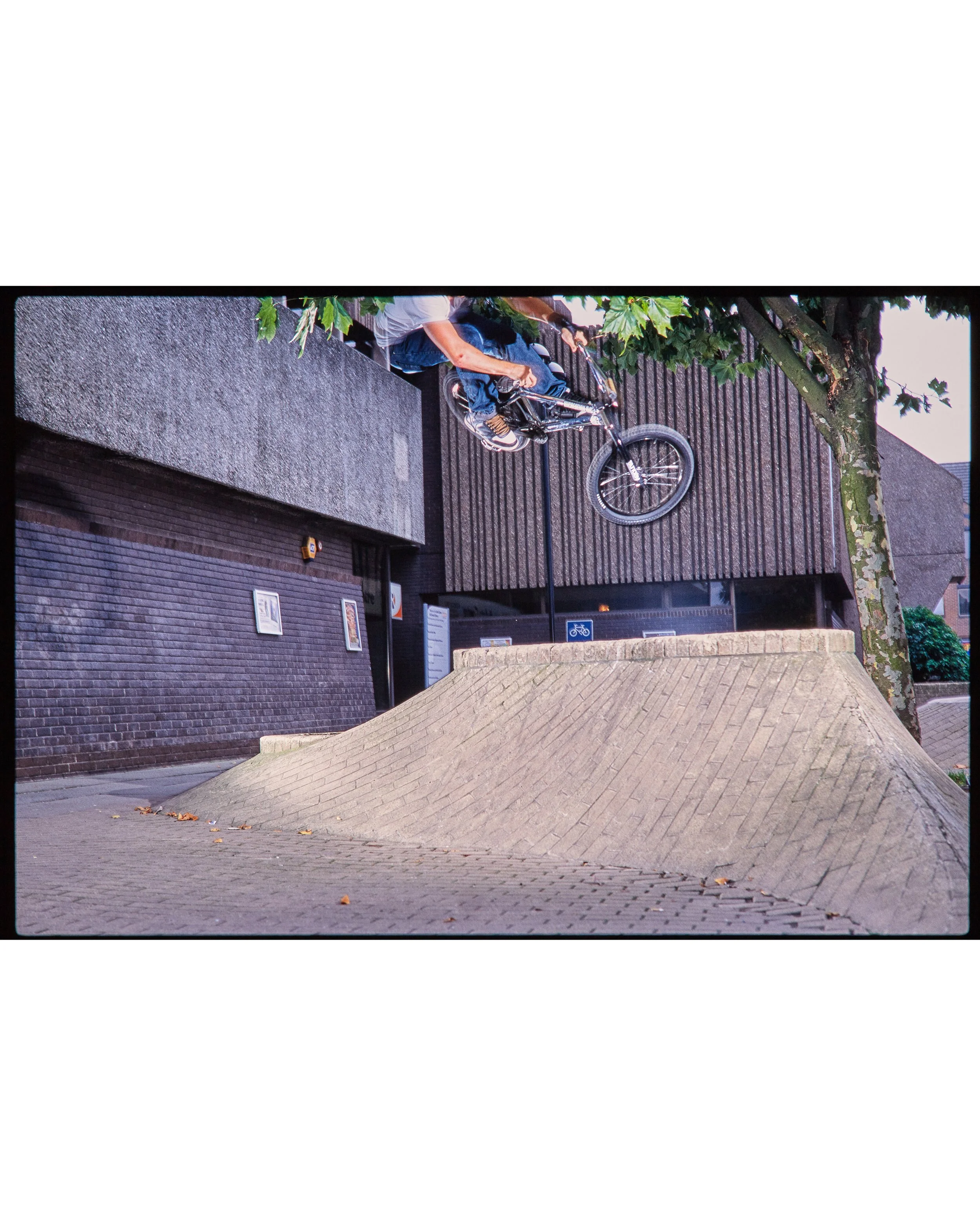 Ian Schwartz2971.jpg