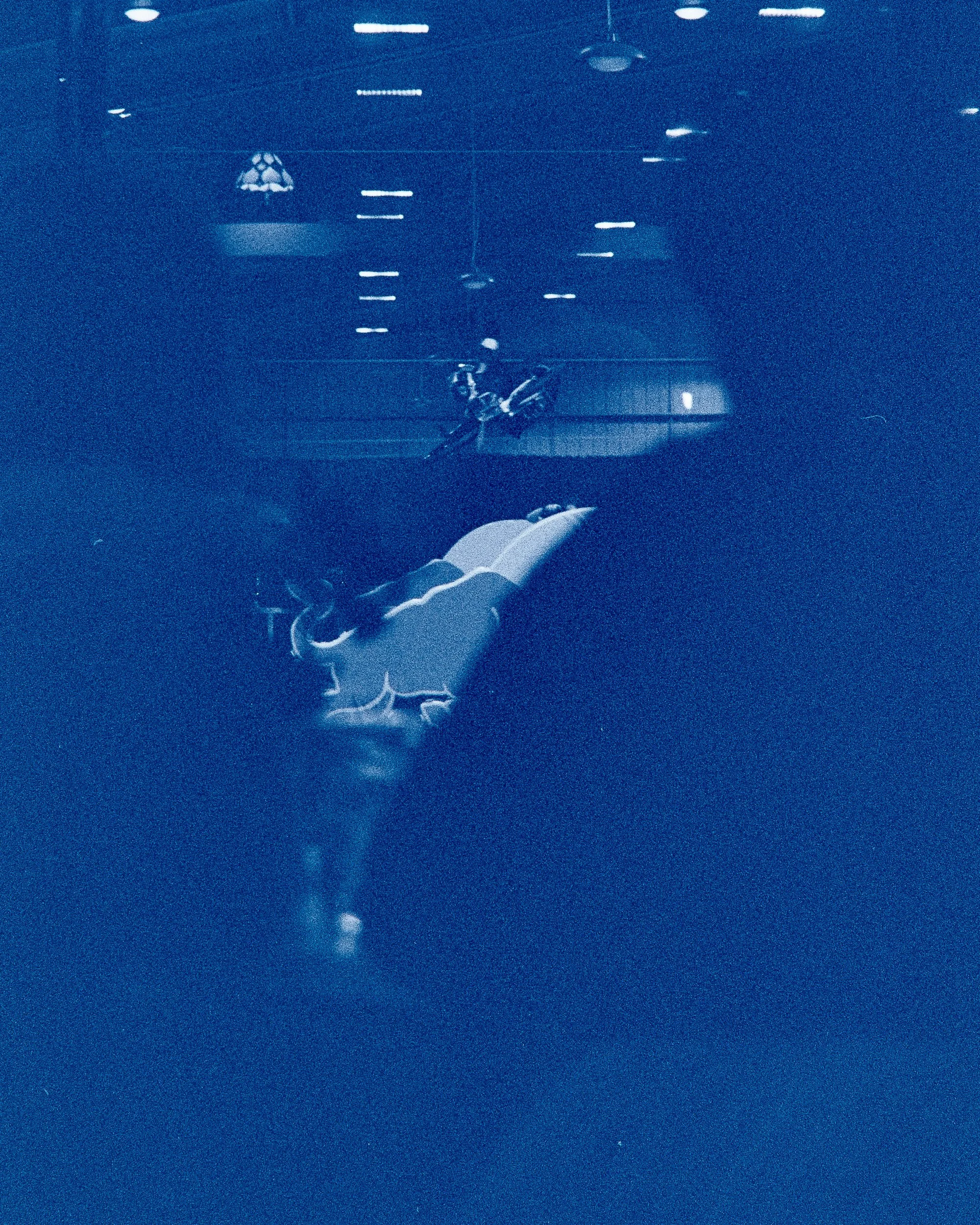 Backyard Telford3413.jpg