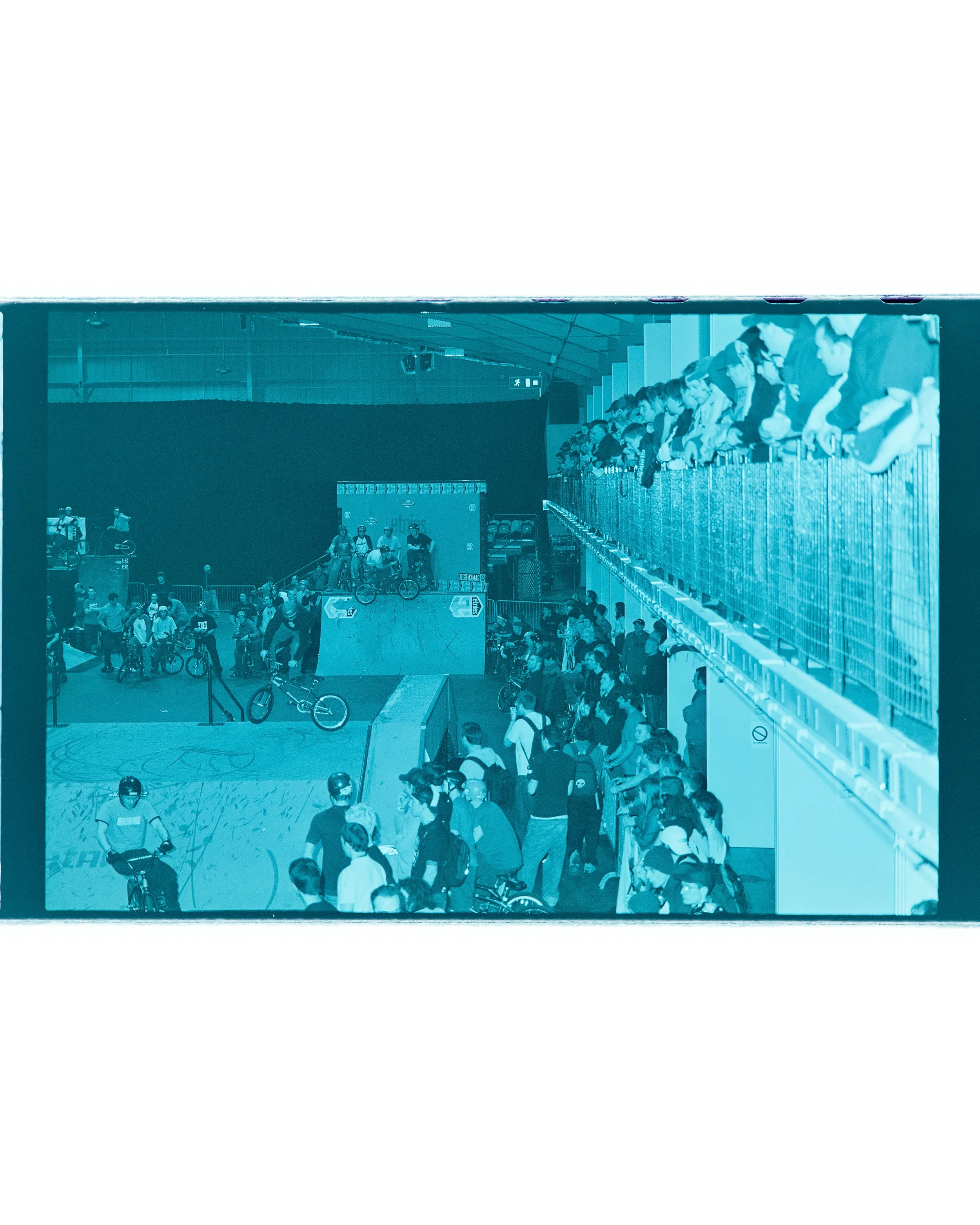 Backyard Telford3322.jpg