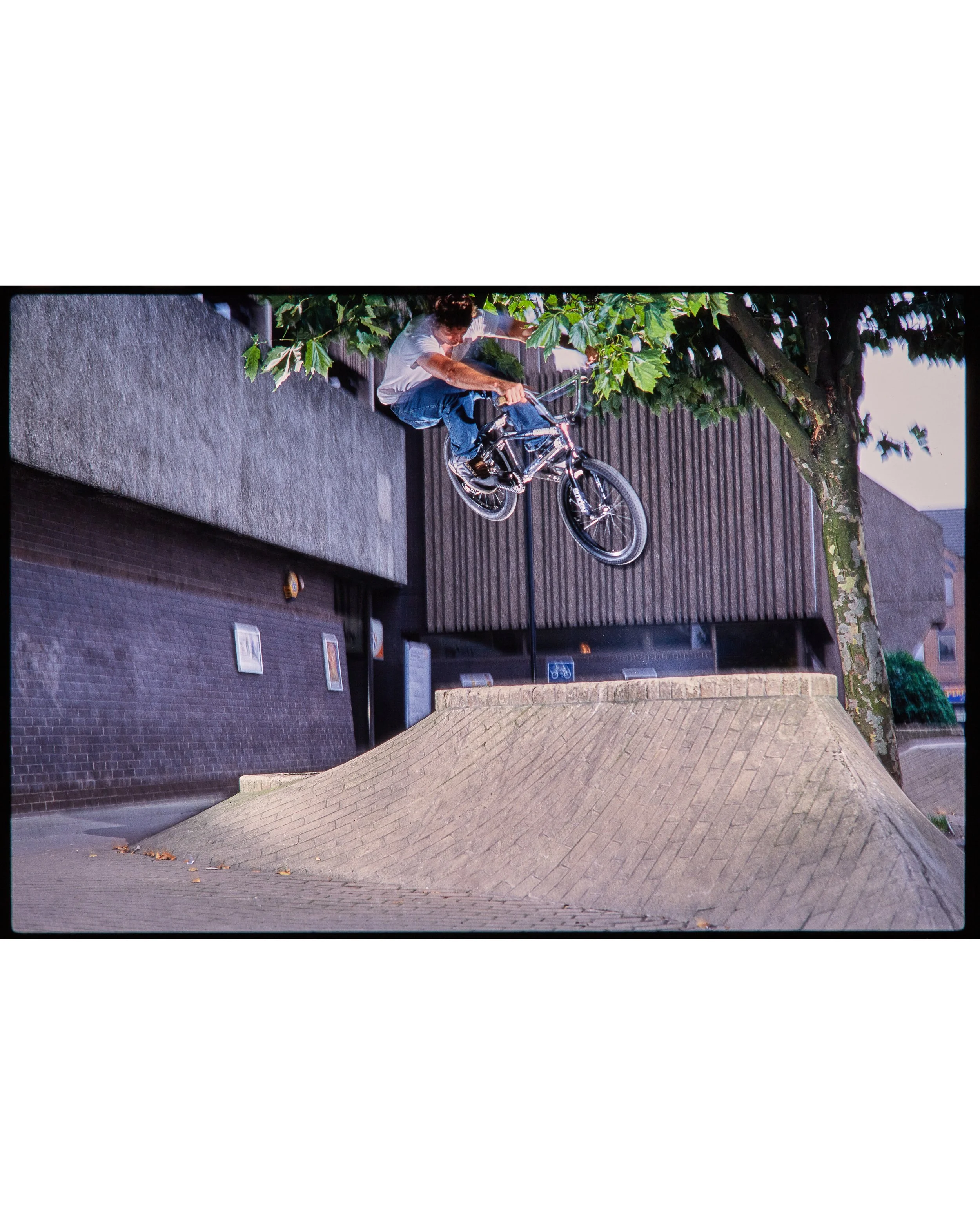 Ian Schwartz2972.jpg