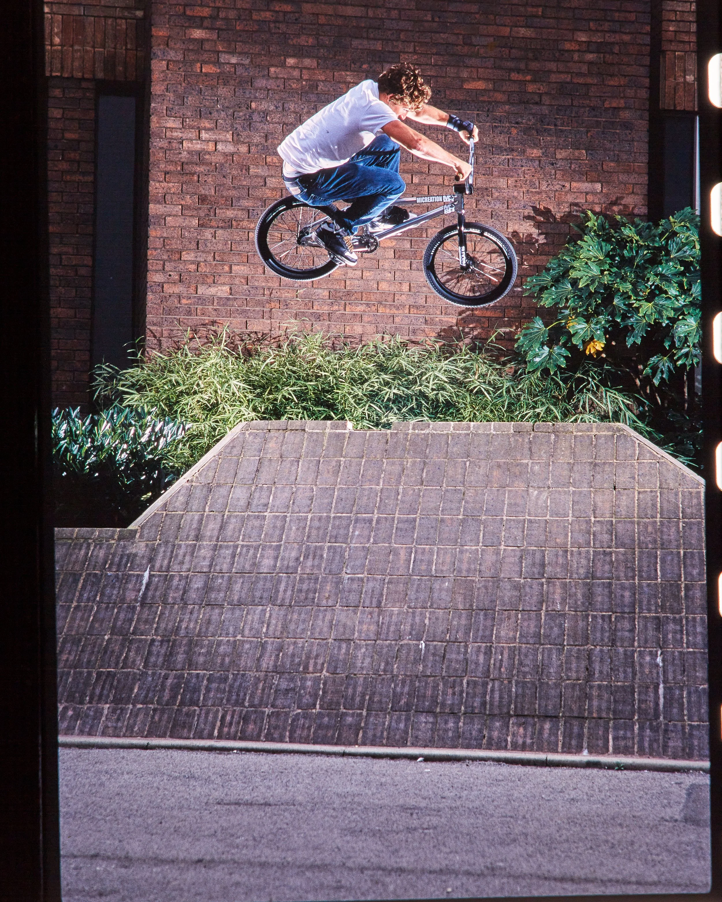 Ian Schwartz2951.jpg