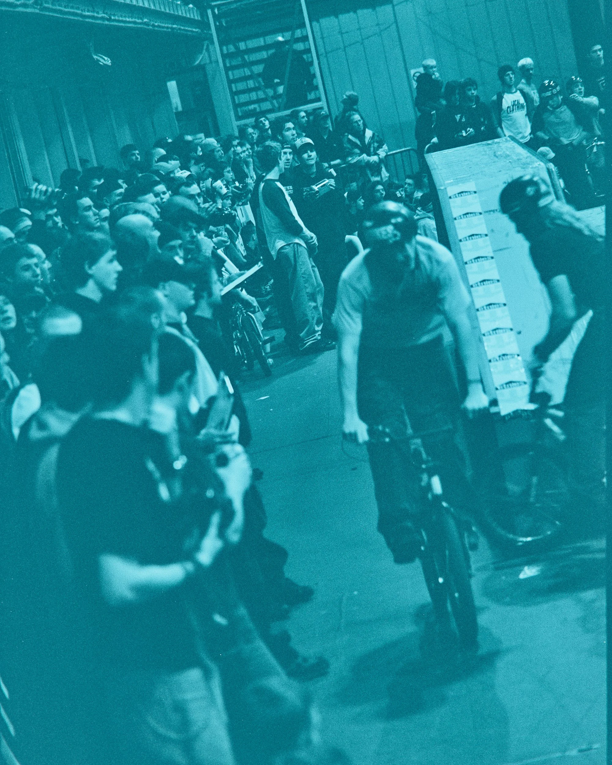 Backyard Telford3379.jpg