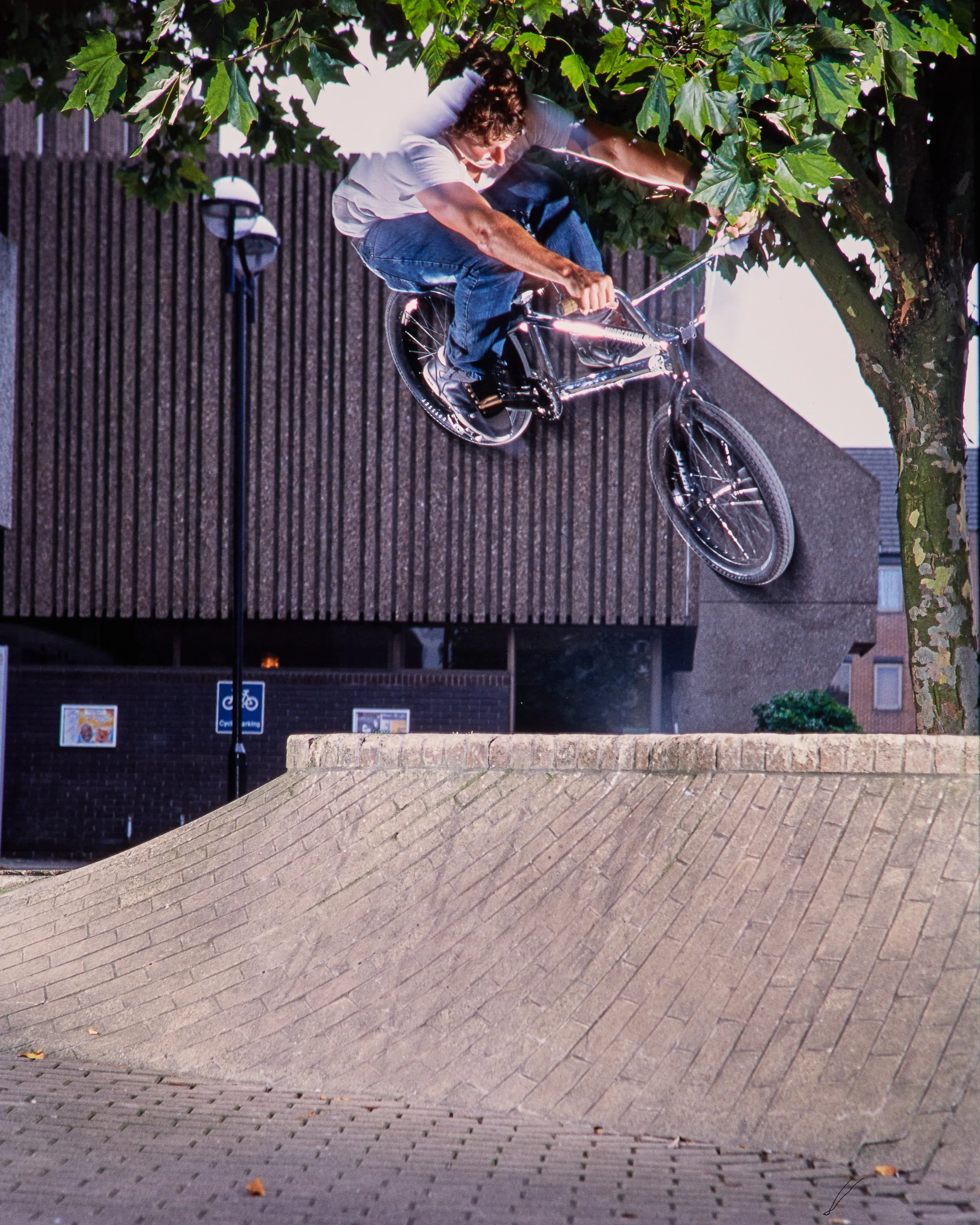 Ian Schwartz2974.jpg