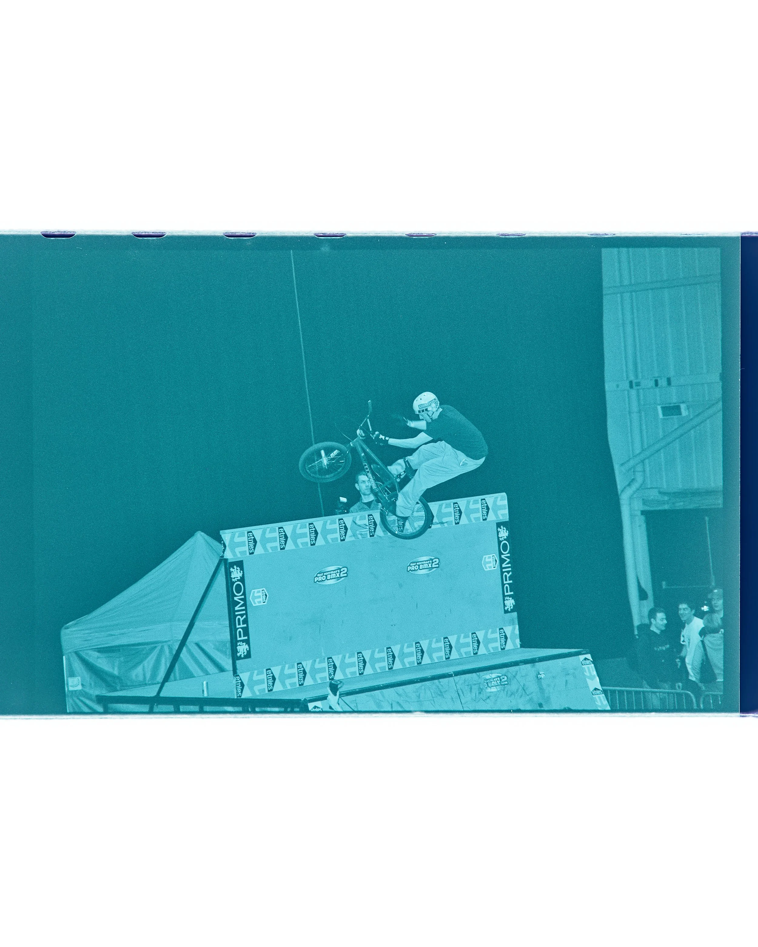 Backyard Telford3315.jpg