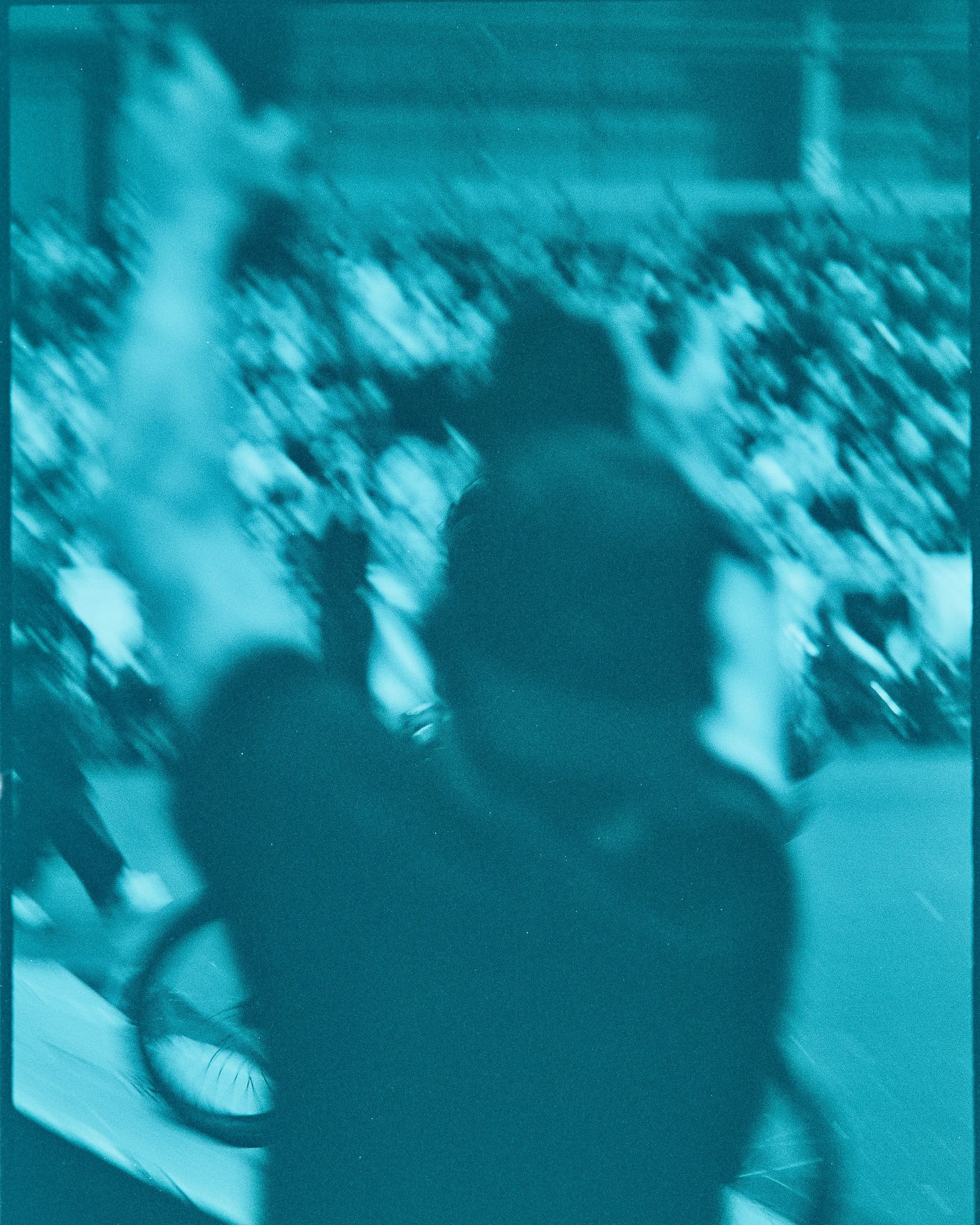 Backyard Telford3391.jpg