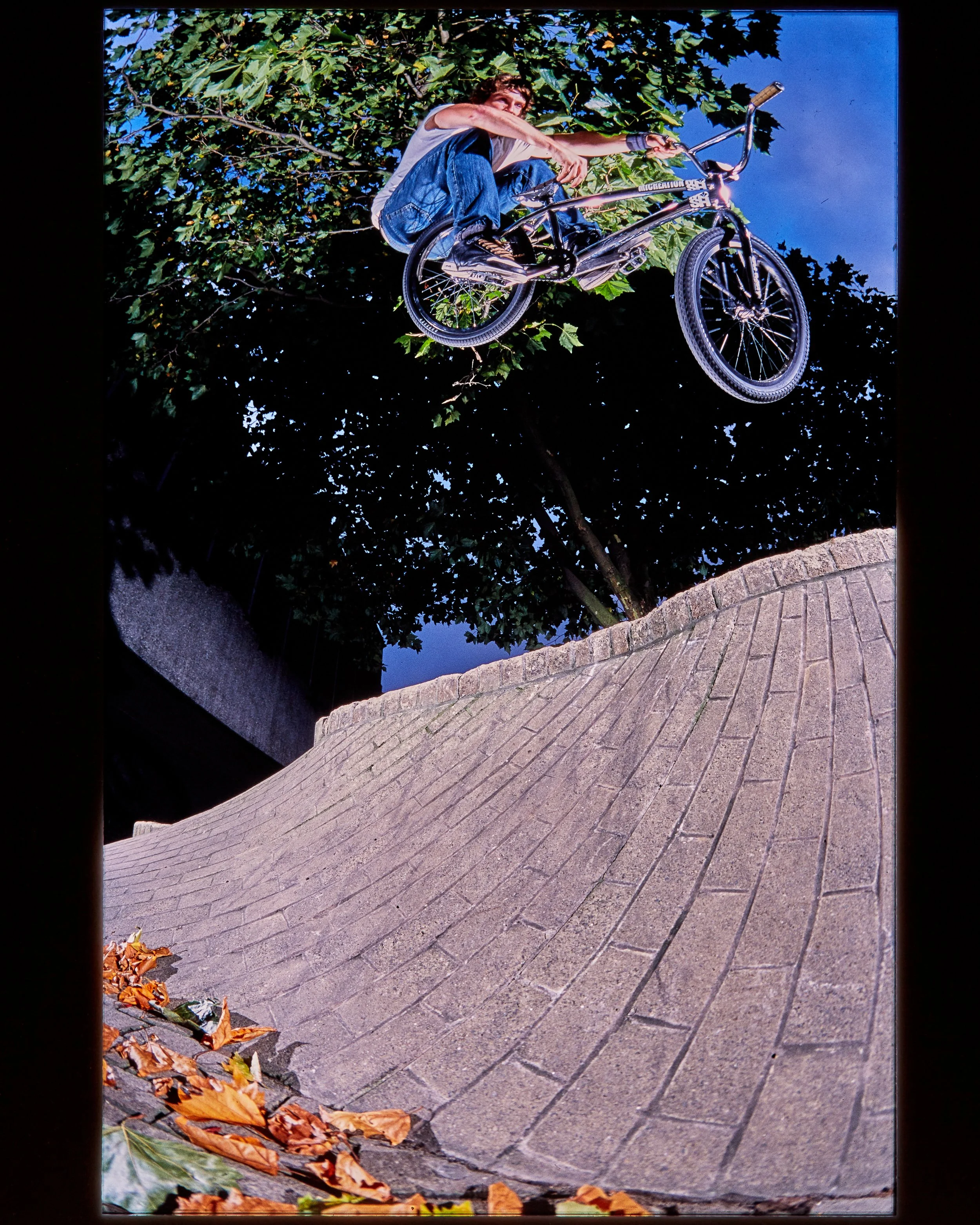 Ian Schwartz2847.jpg