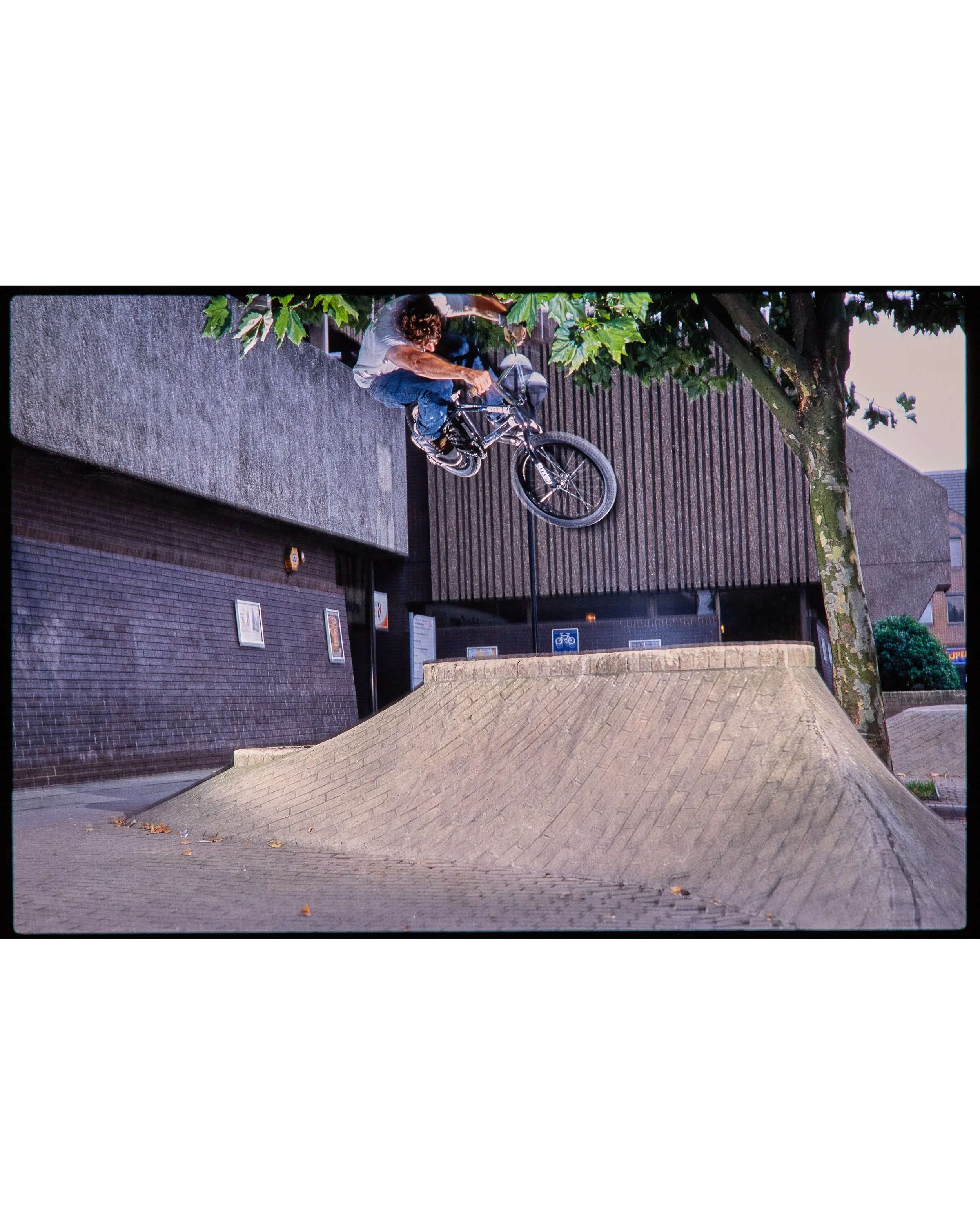 Ian Schwartz2970.jpg