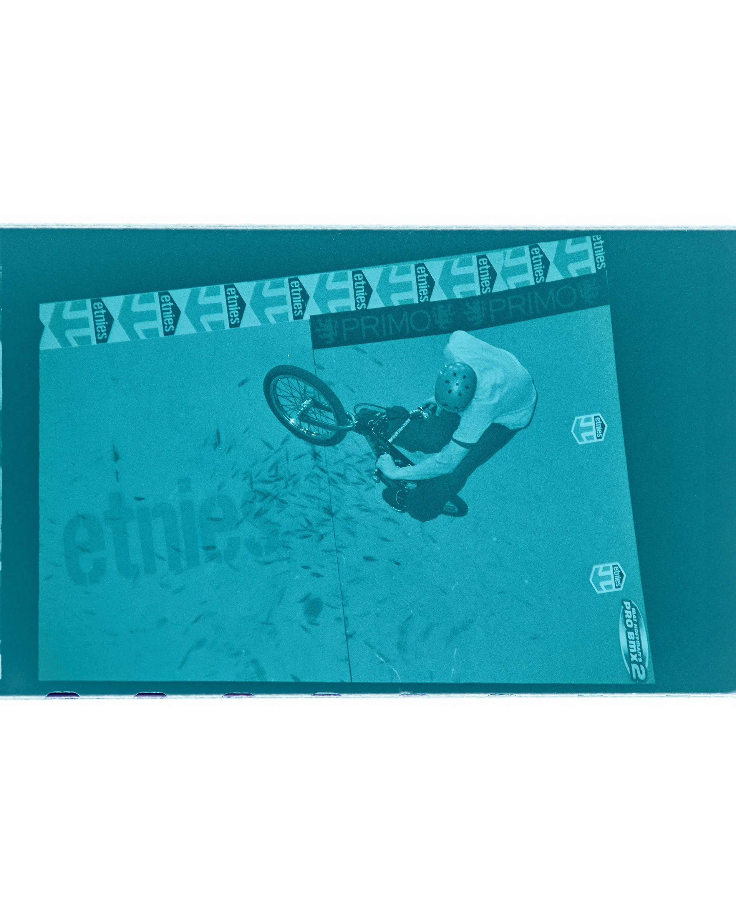 Backyard Telford3313.jpg