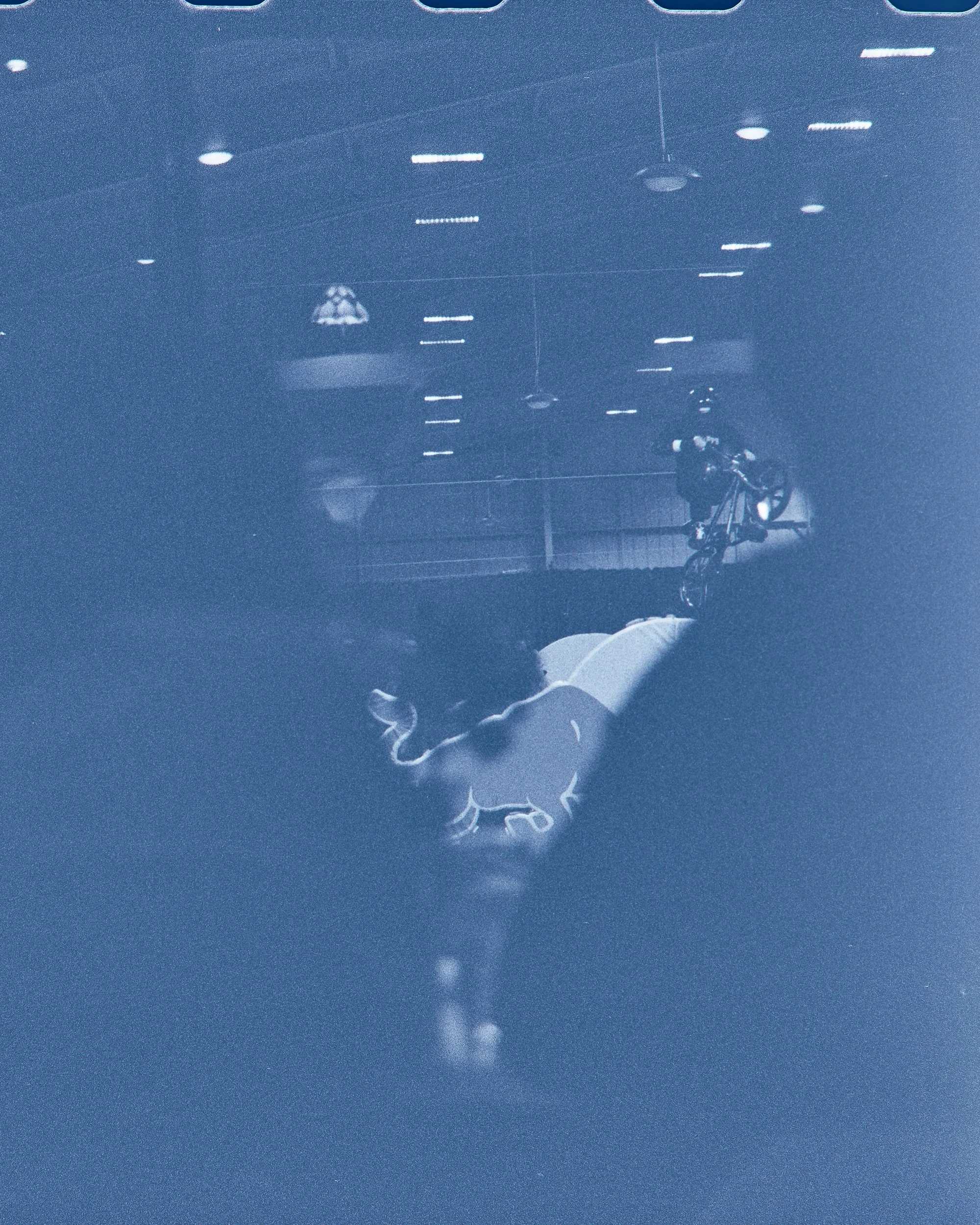 Backyard Telford3409.jpg