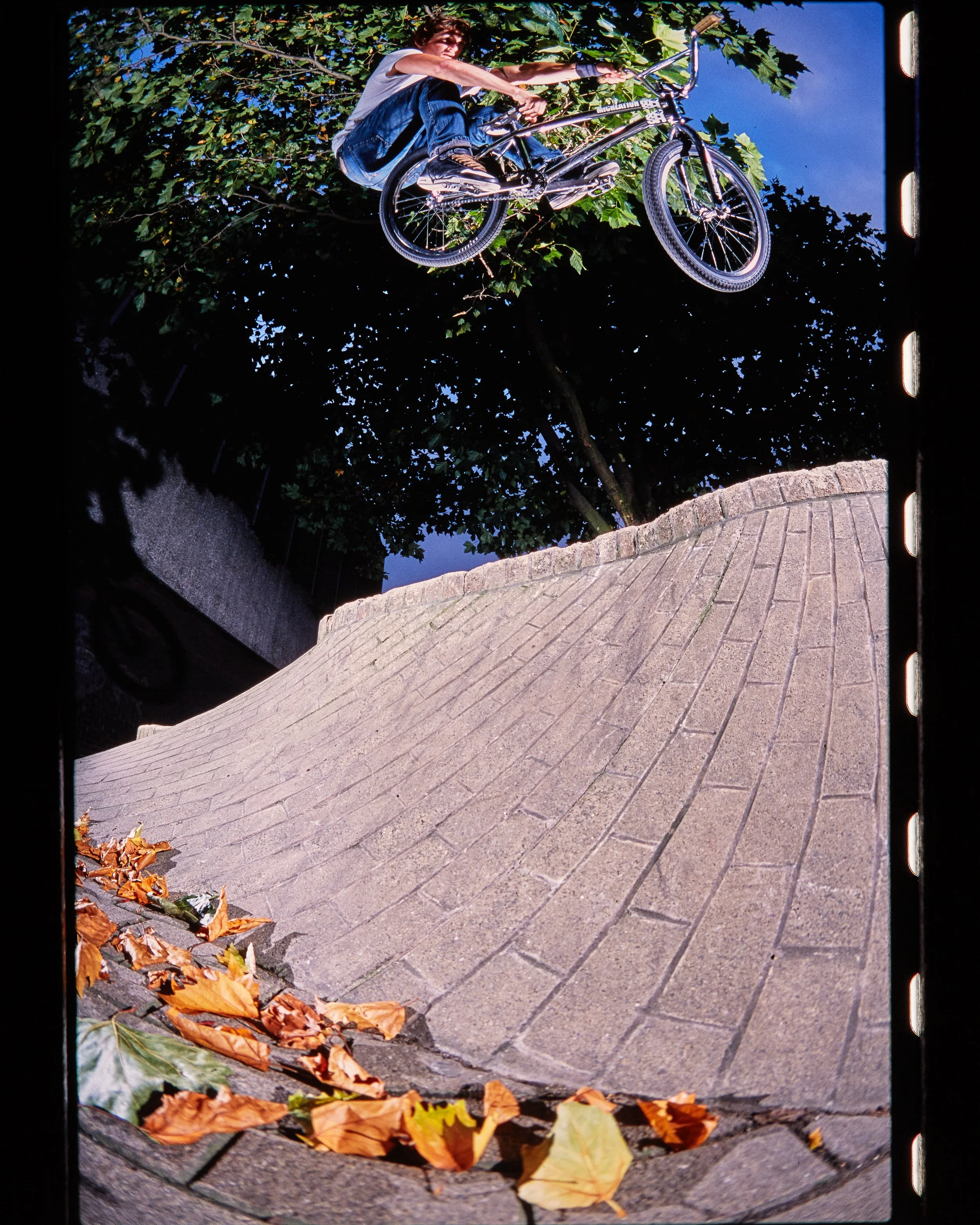 Ian Schwartz2979.jpg